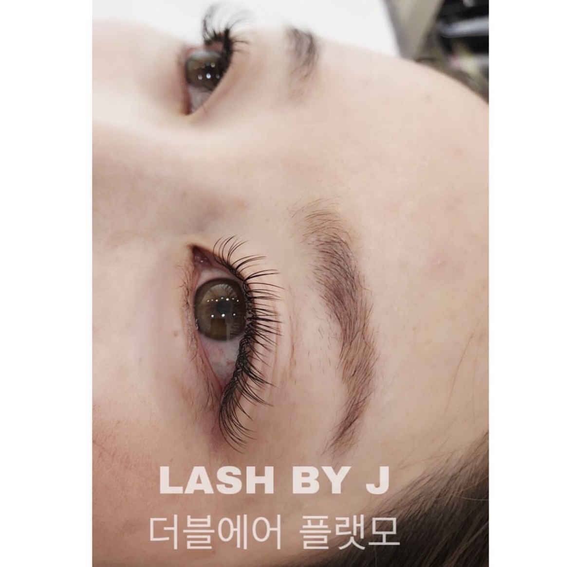 래쉬바이제이 대표 이미지