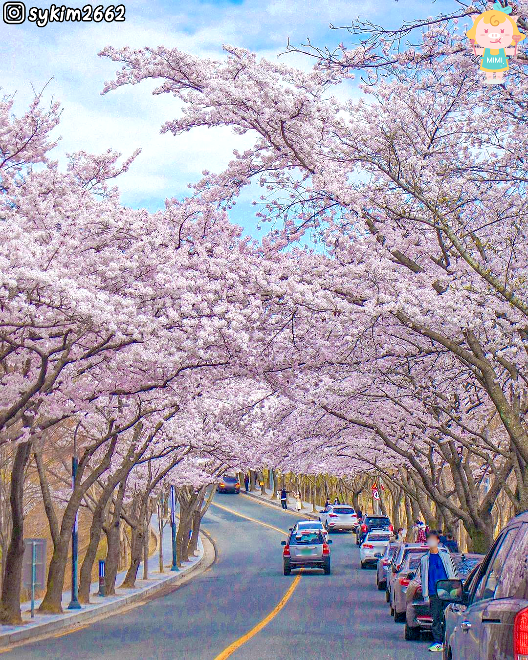 팔공산 영화식당 사진 5