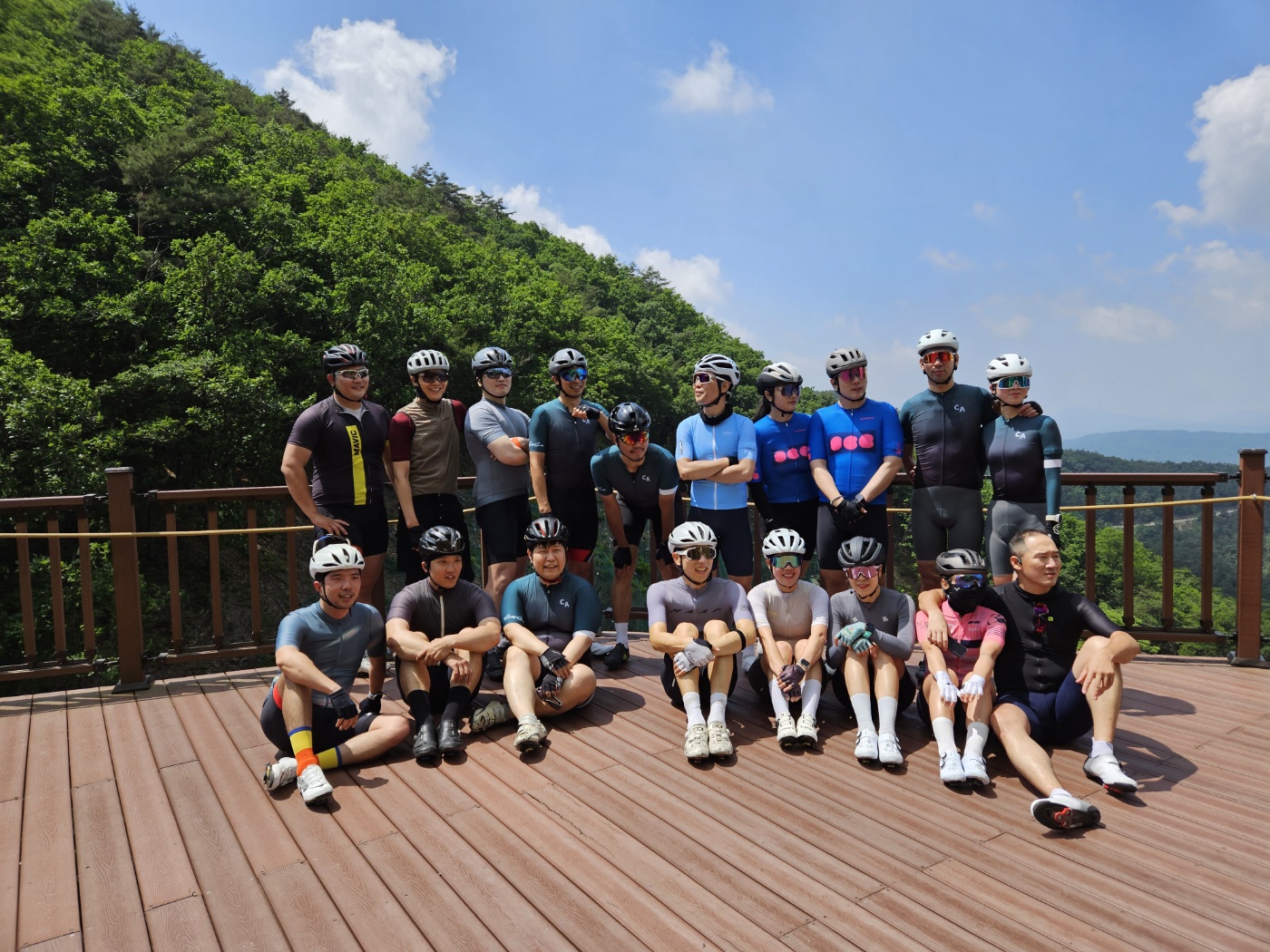 얼라이브 사이클 대표 이미지