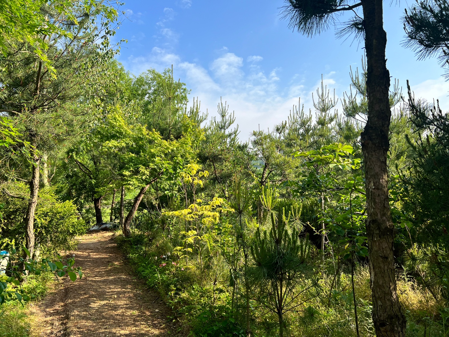 다로산농원 카페