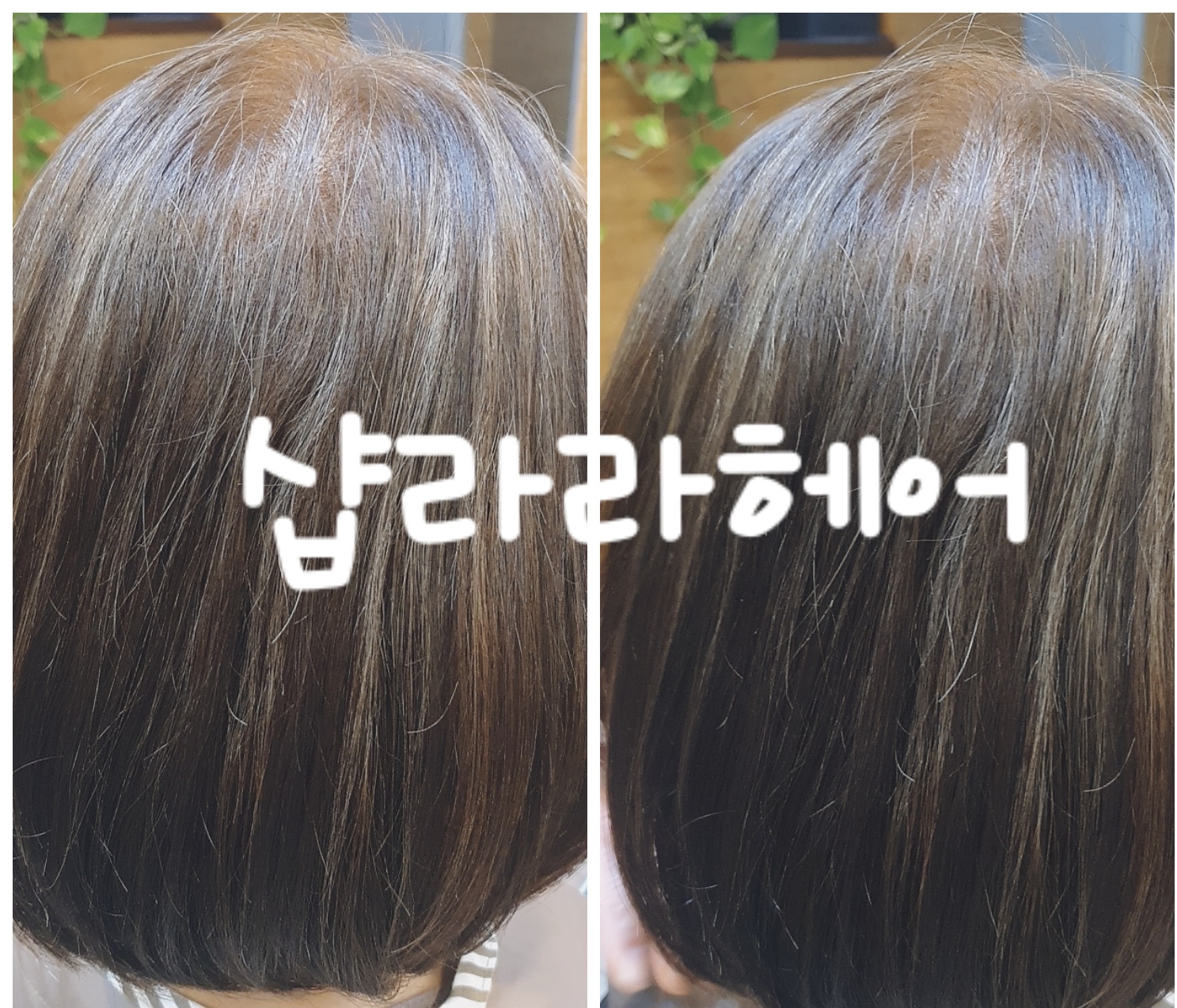 샵라라헤어