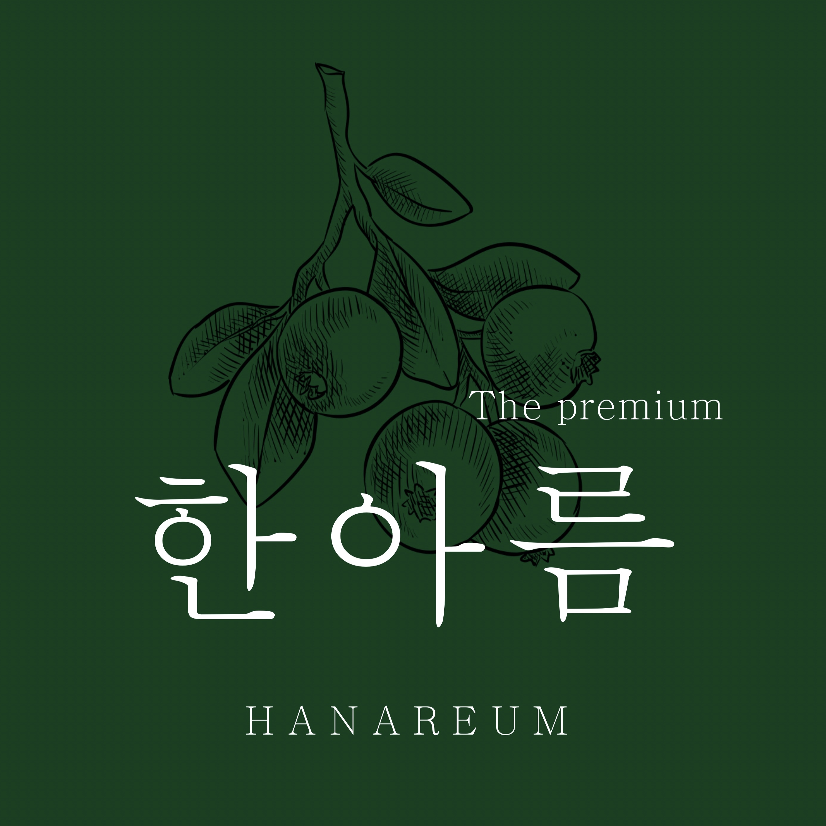 과일한아름
