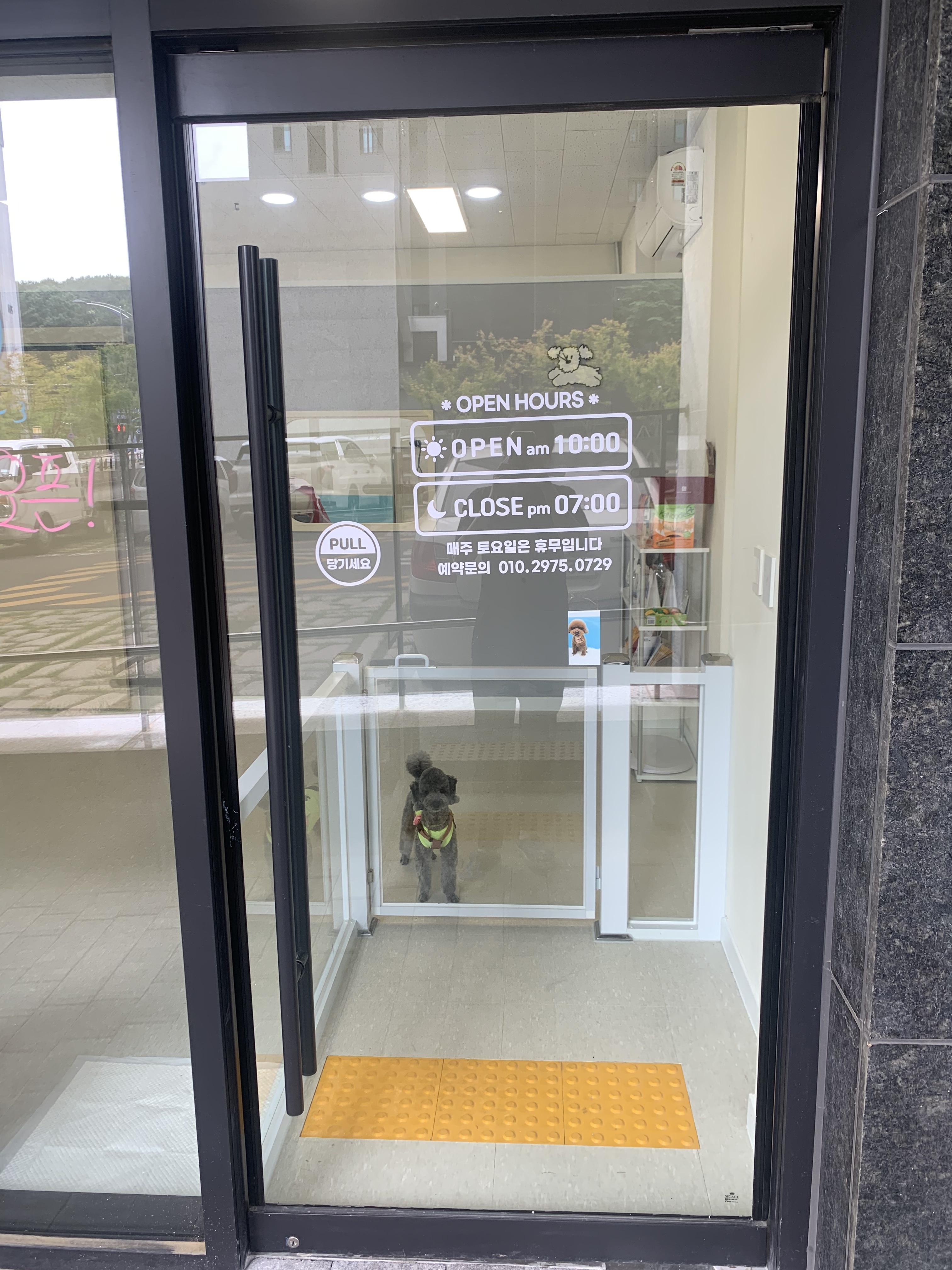 퐁실퐁실 대표 이미지