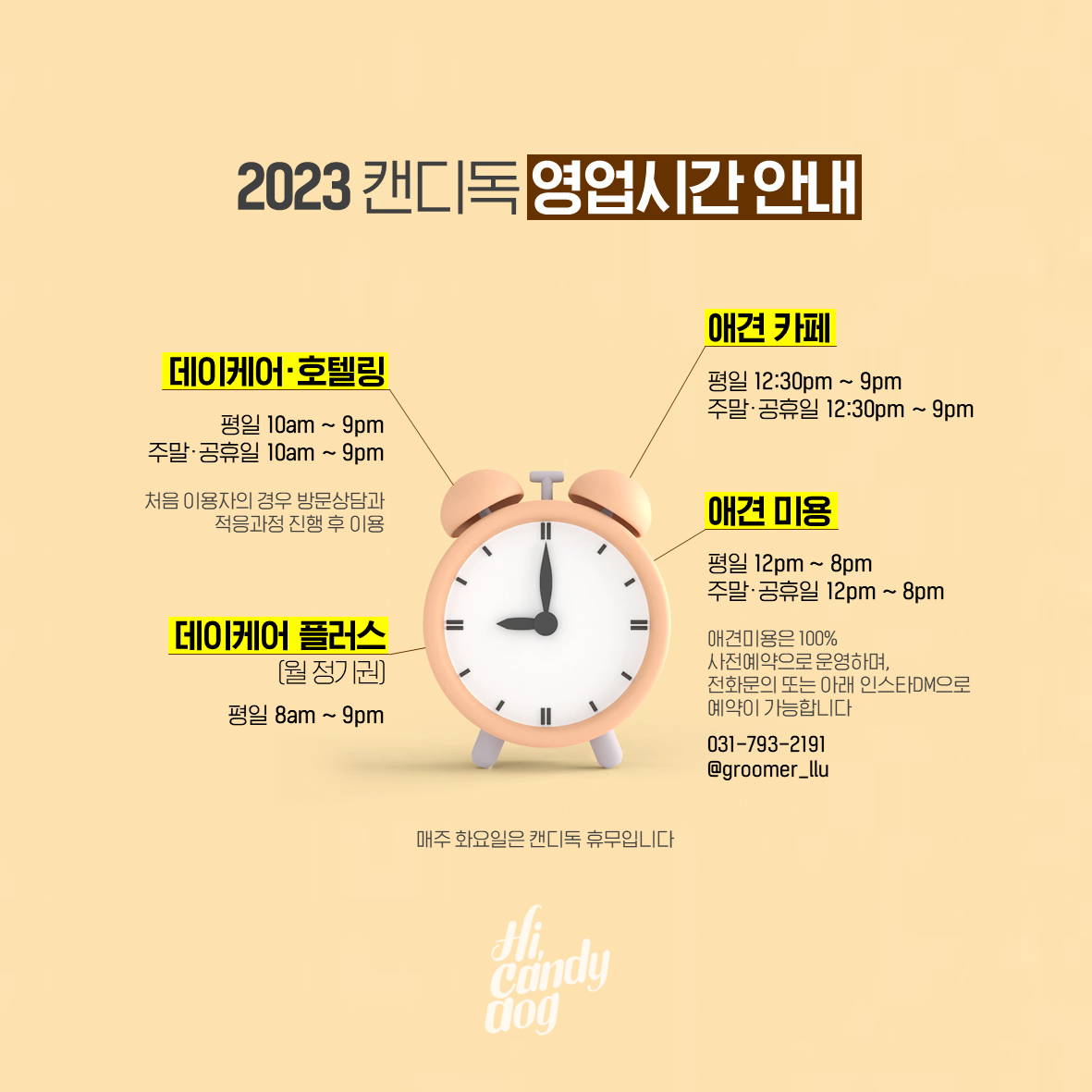 캔디독 3