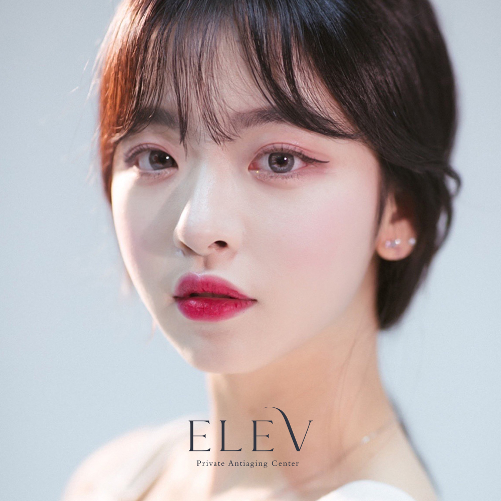 엘레브의원