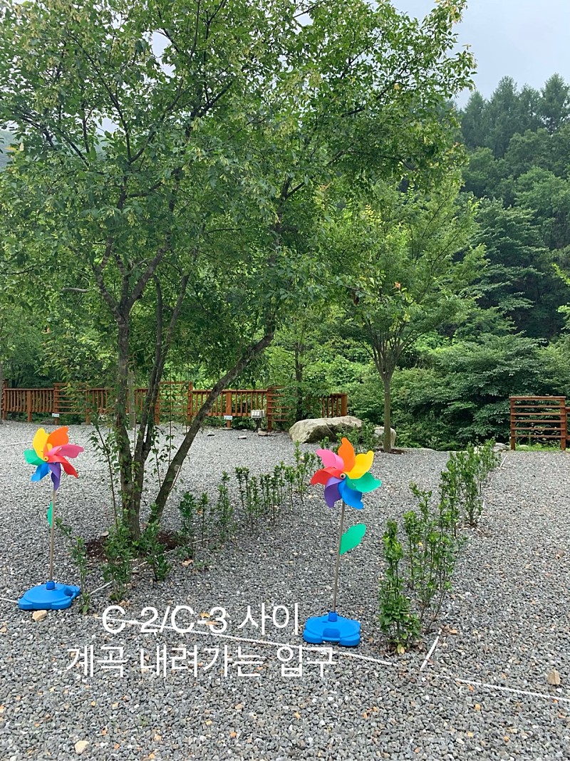 아름채 펜션캠핑장