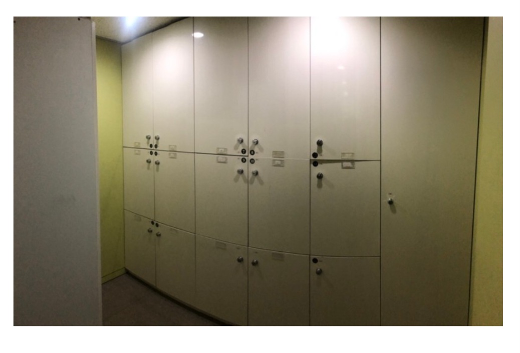 줌바댄스 진네이션 대표 이미지