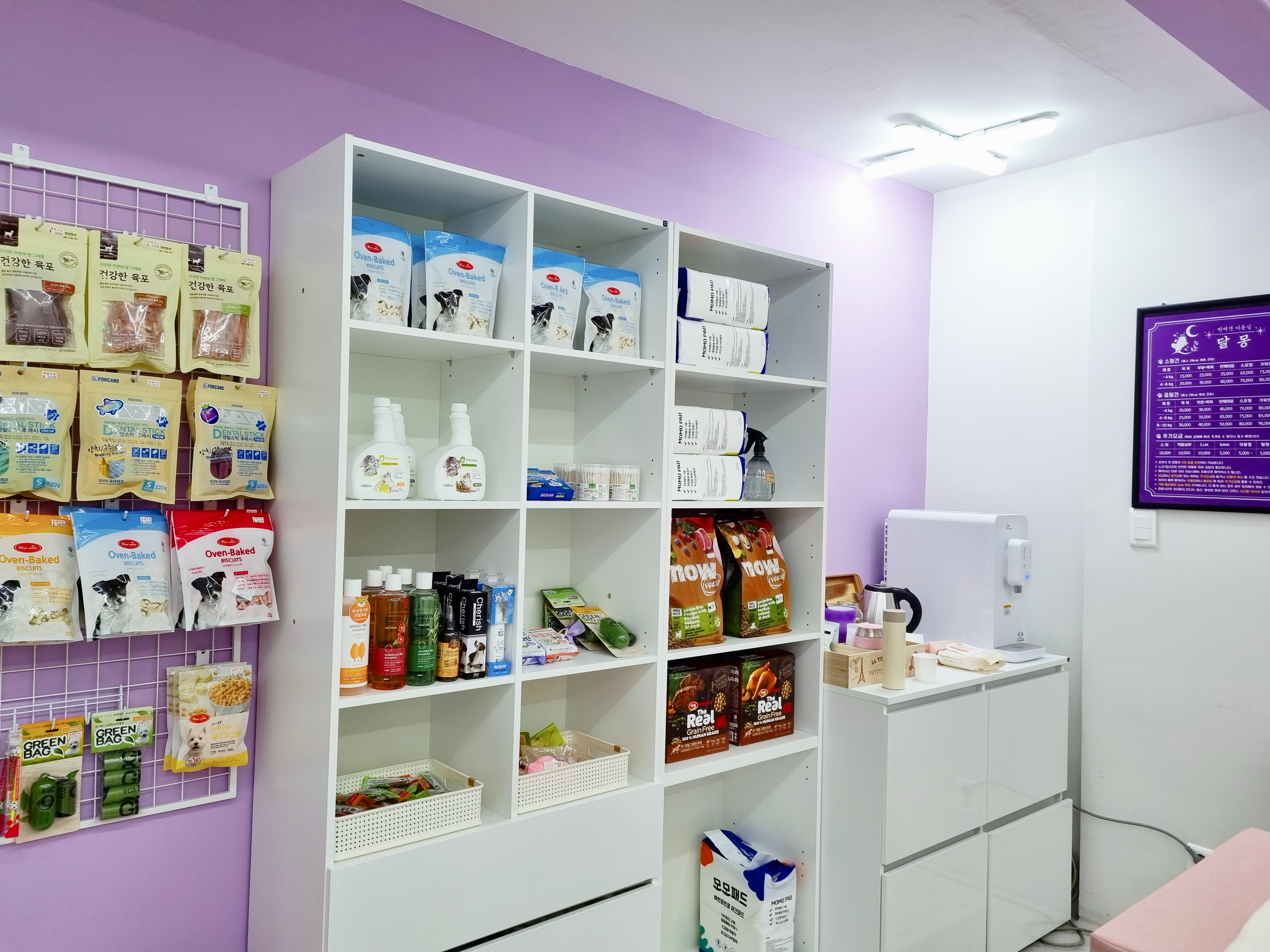 달몽 대표 이미지