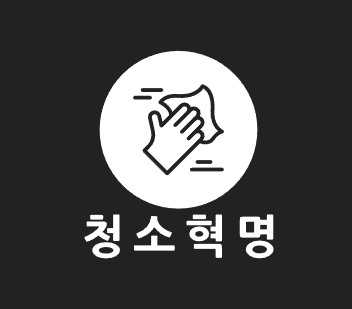 청소혁명