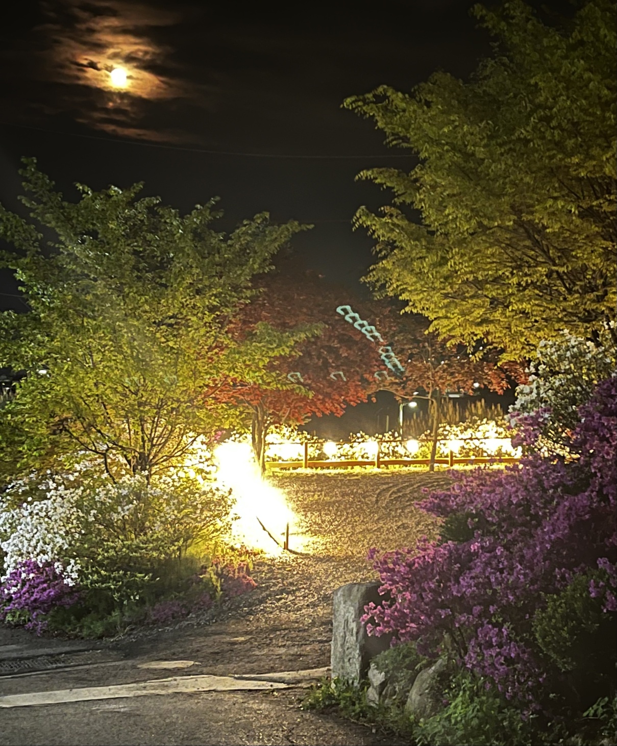 화천랜드 강원 애견숙소