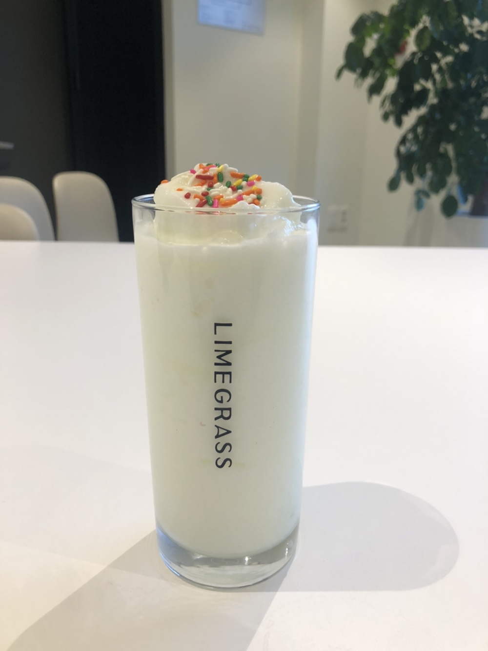 Plain Yogurt Smoothie