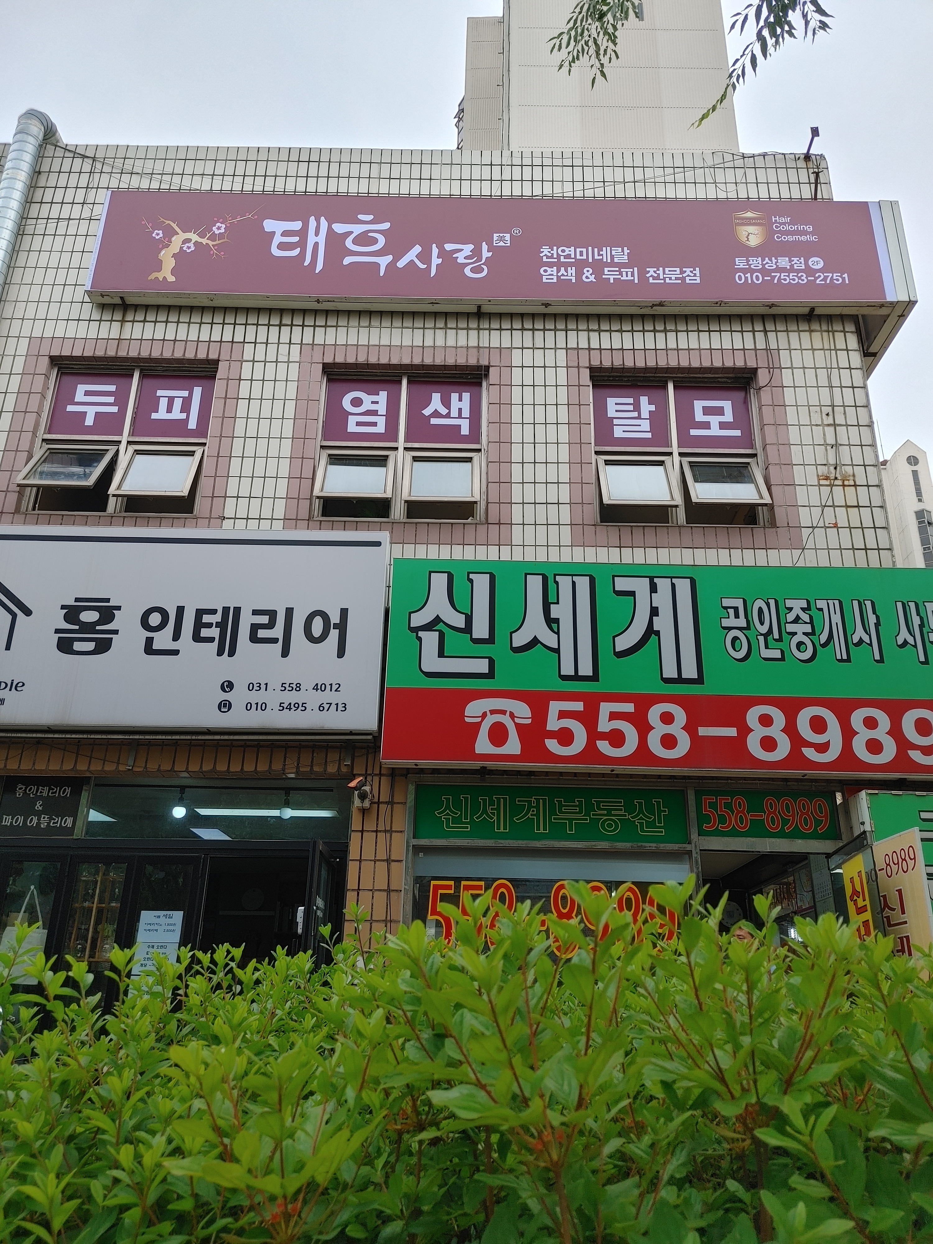태후사랑 토평상록점