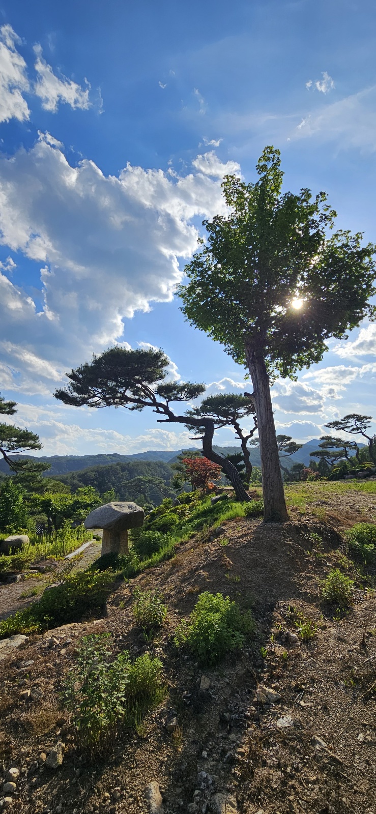 펜션 오로지