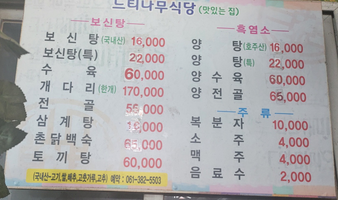 느티나무집