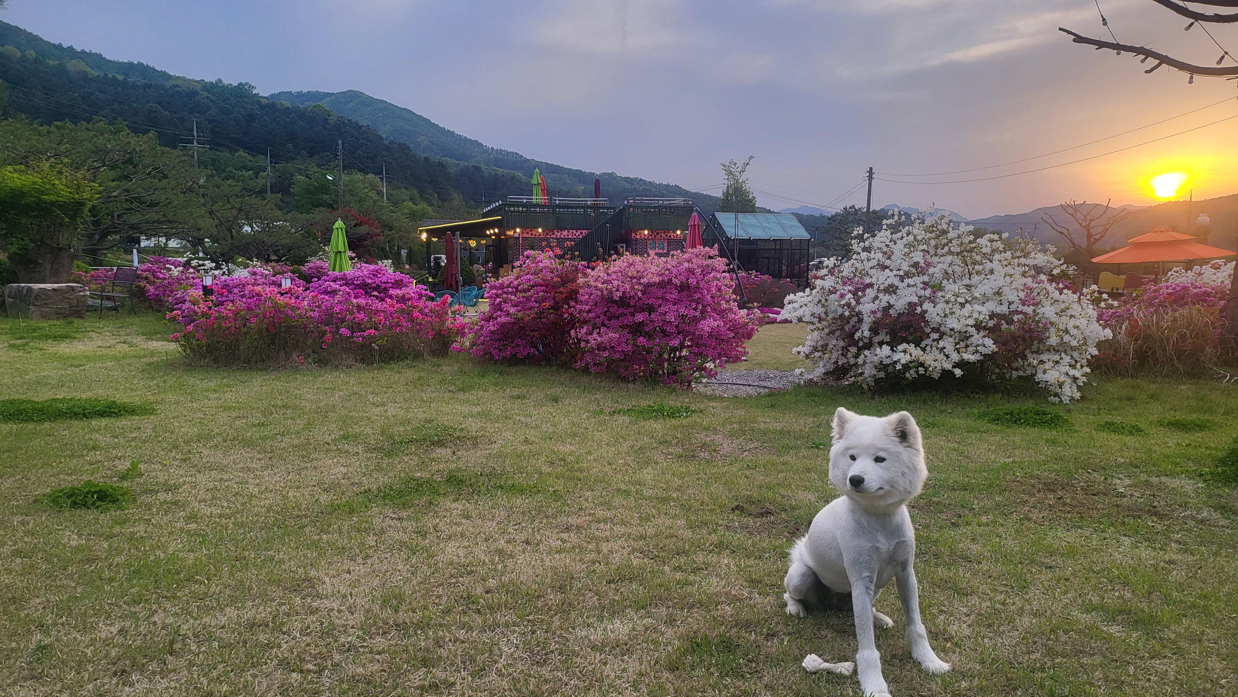바람길카페 대표 이미지