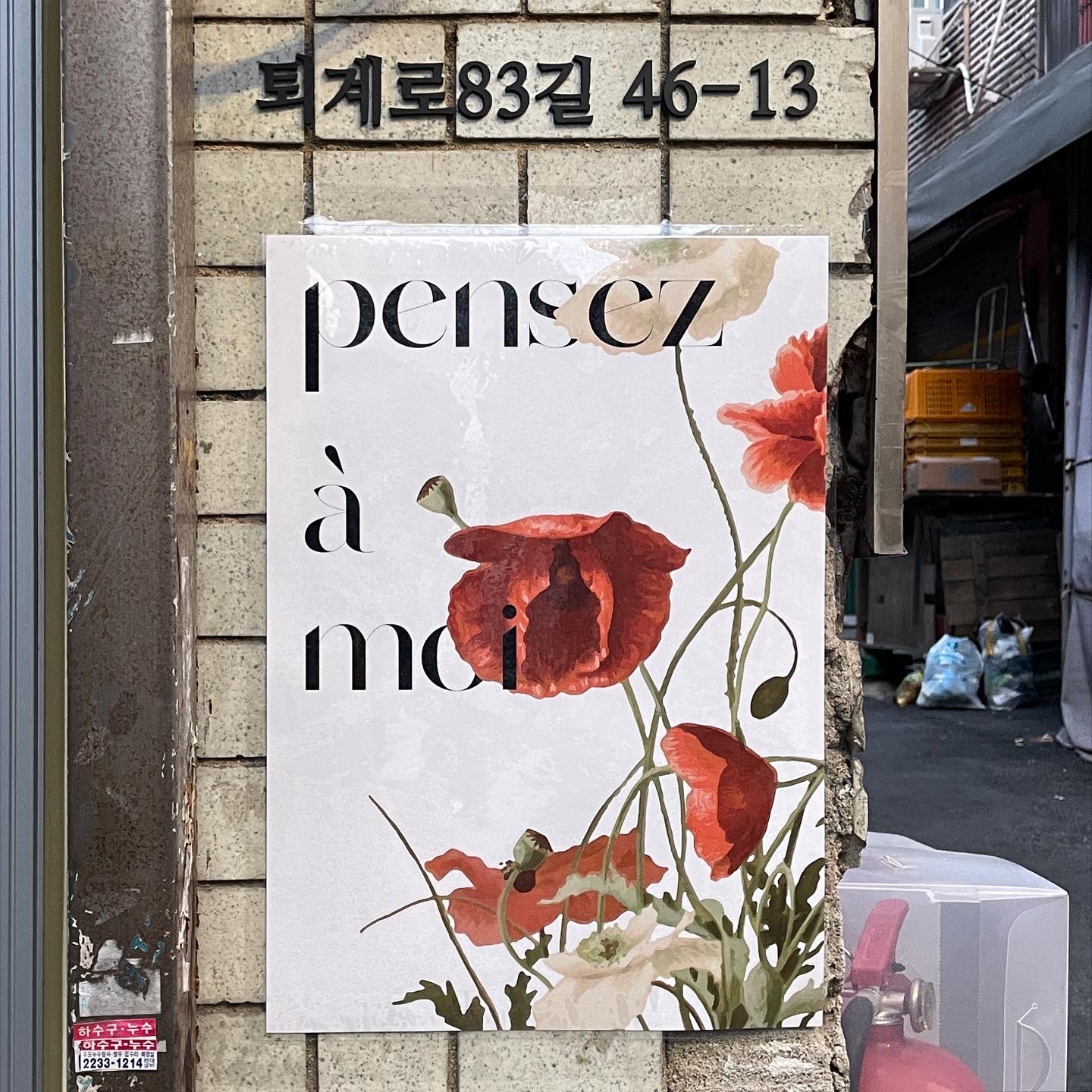 팡세아모아