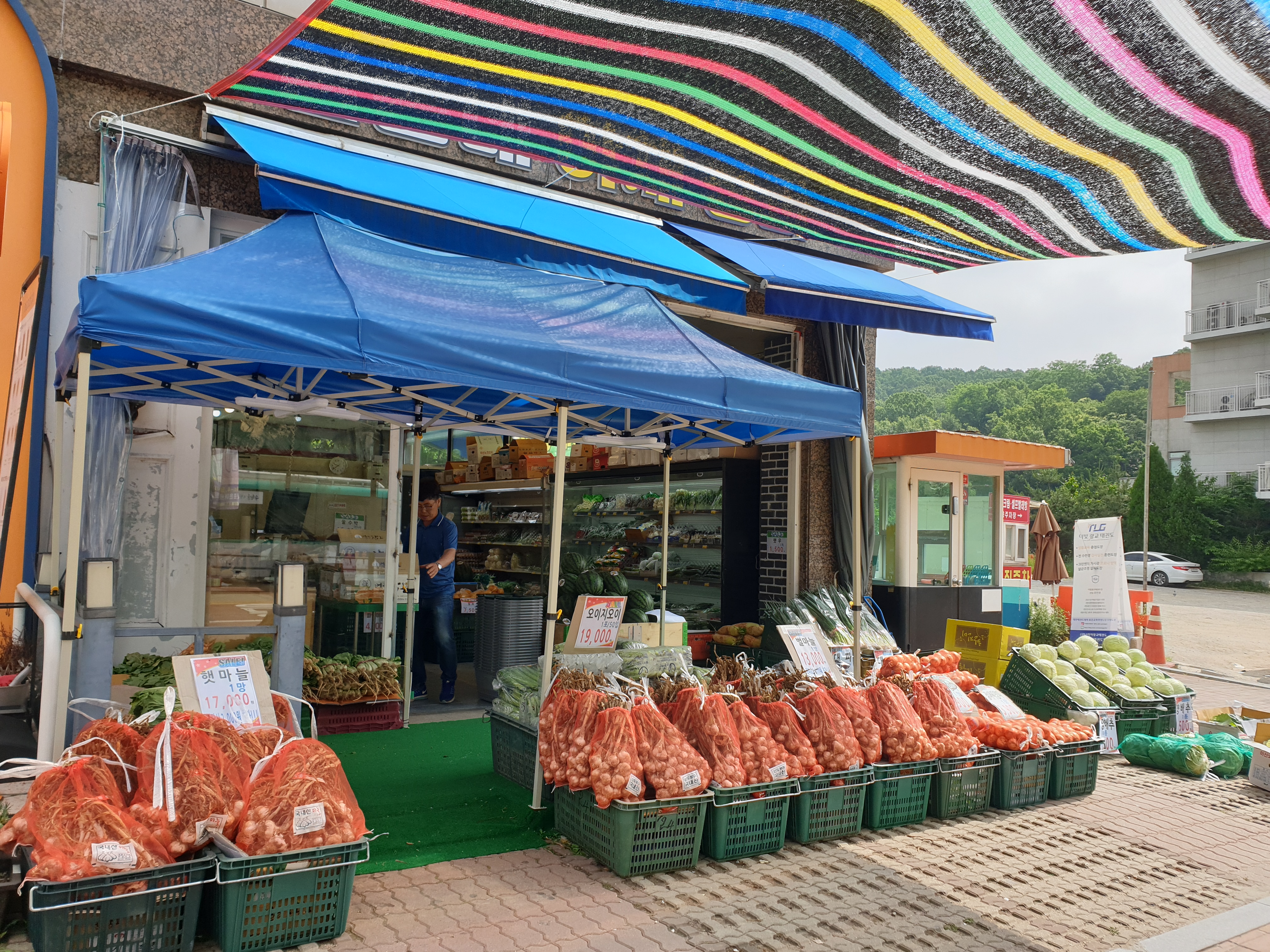 삼촌네야채청과