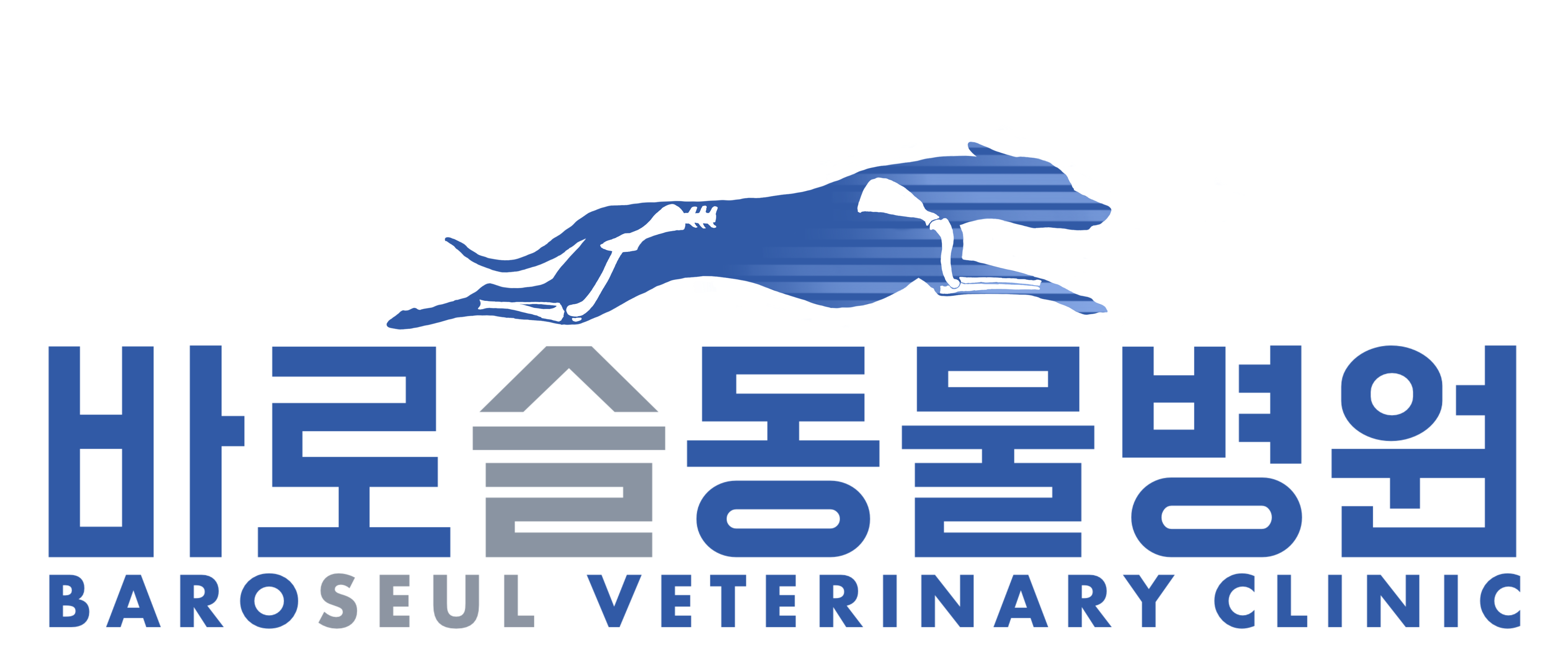 바로슬동물병원 대표이미지