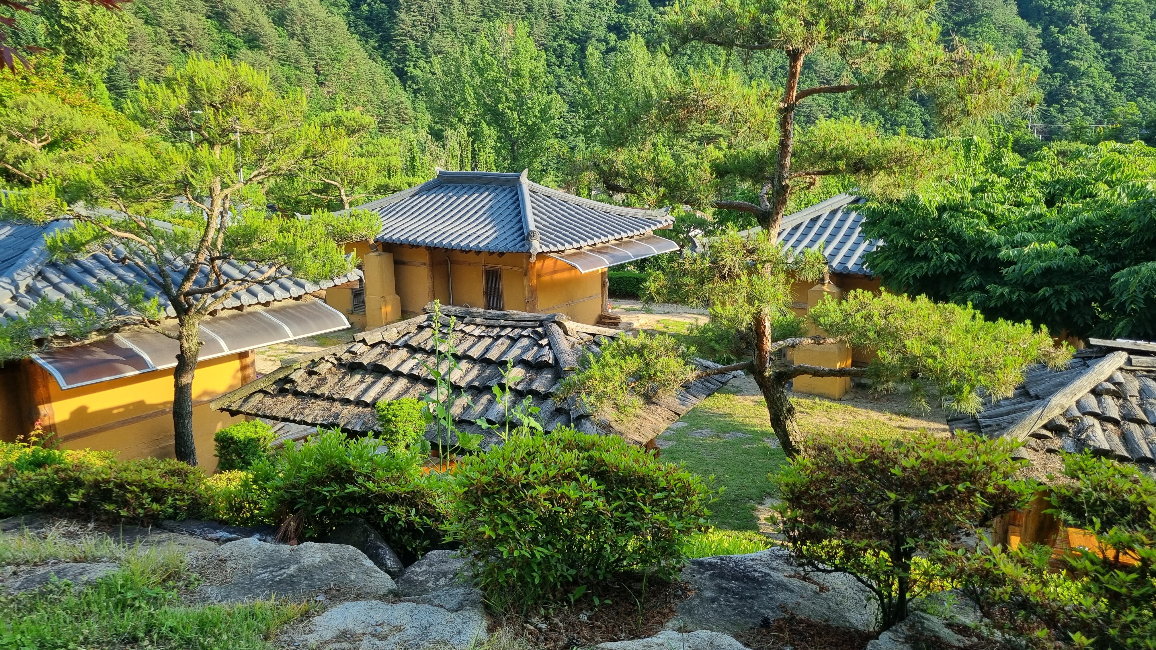 펜션 오로지