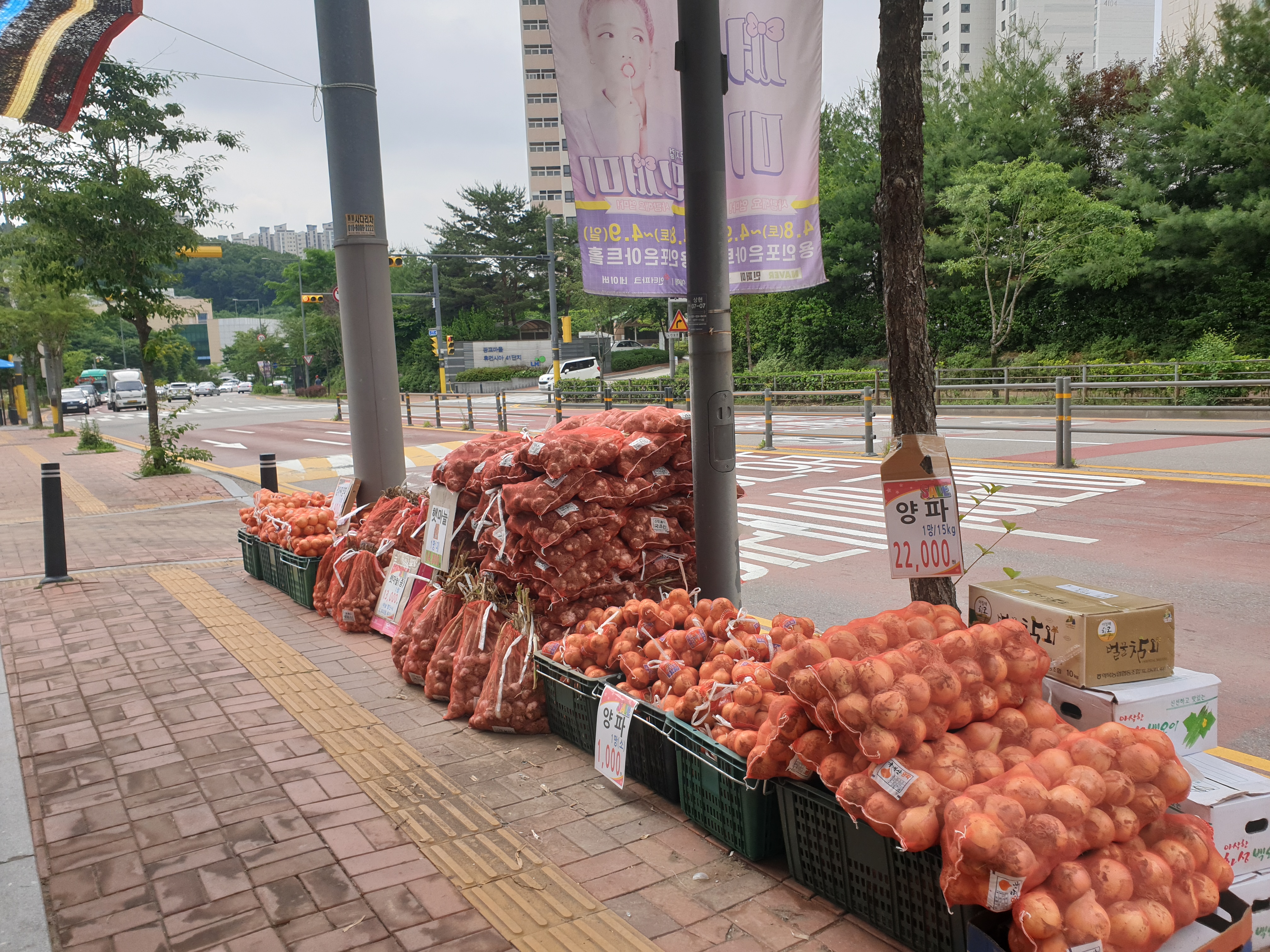 삼촌네야채청과