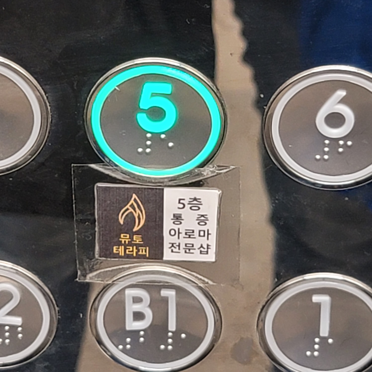 뮤토테라피