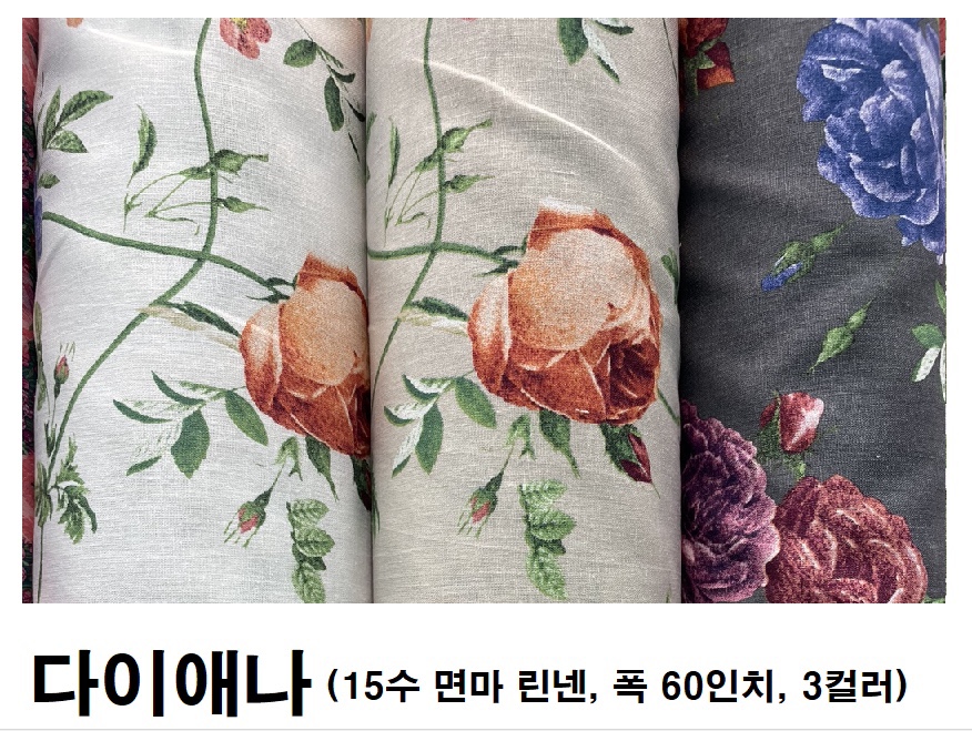 윤보데코