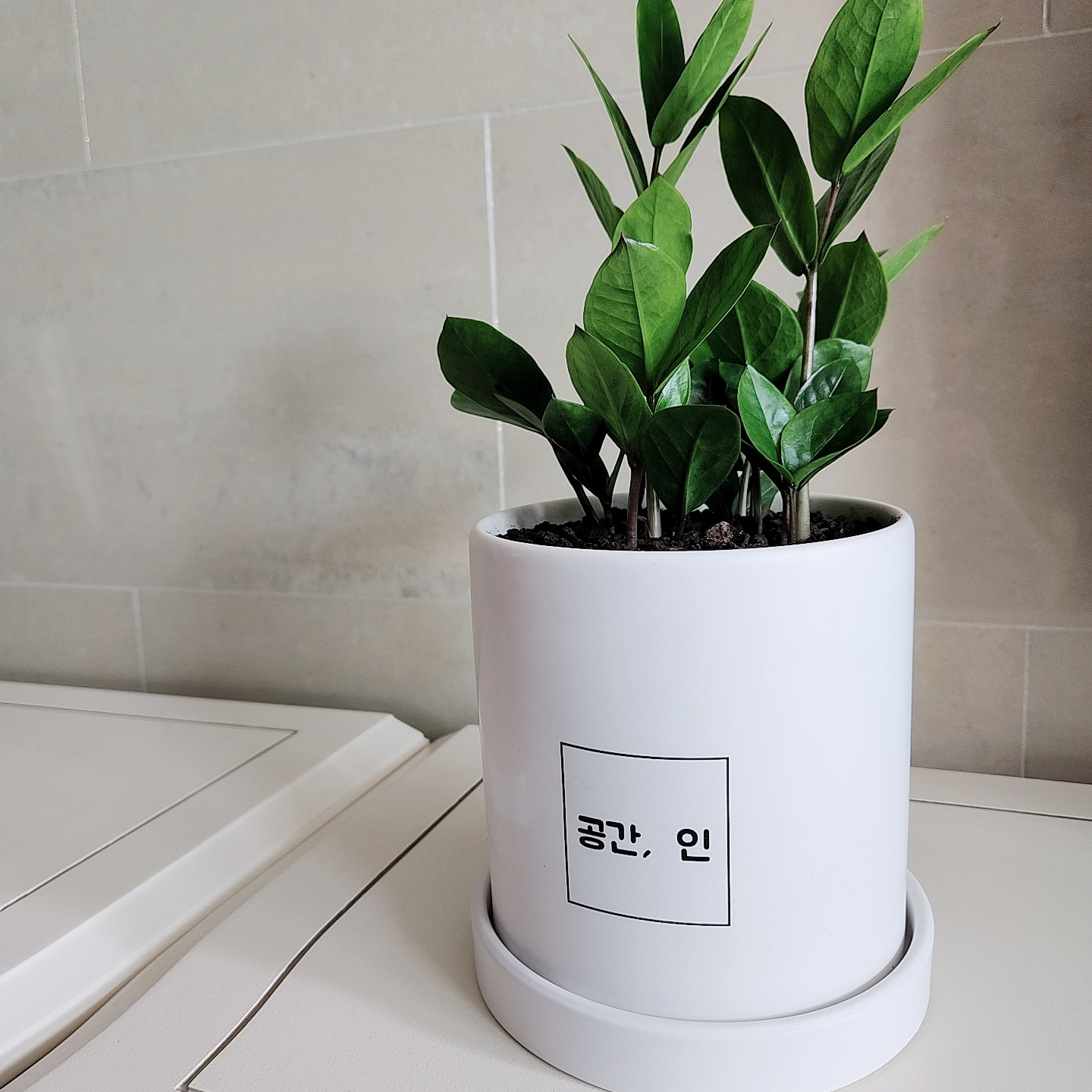 공간인 본점 대표 이미지