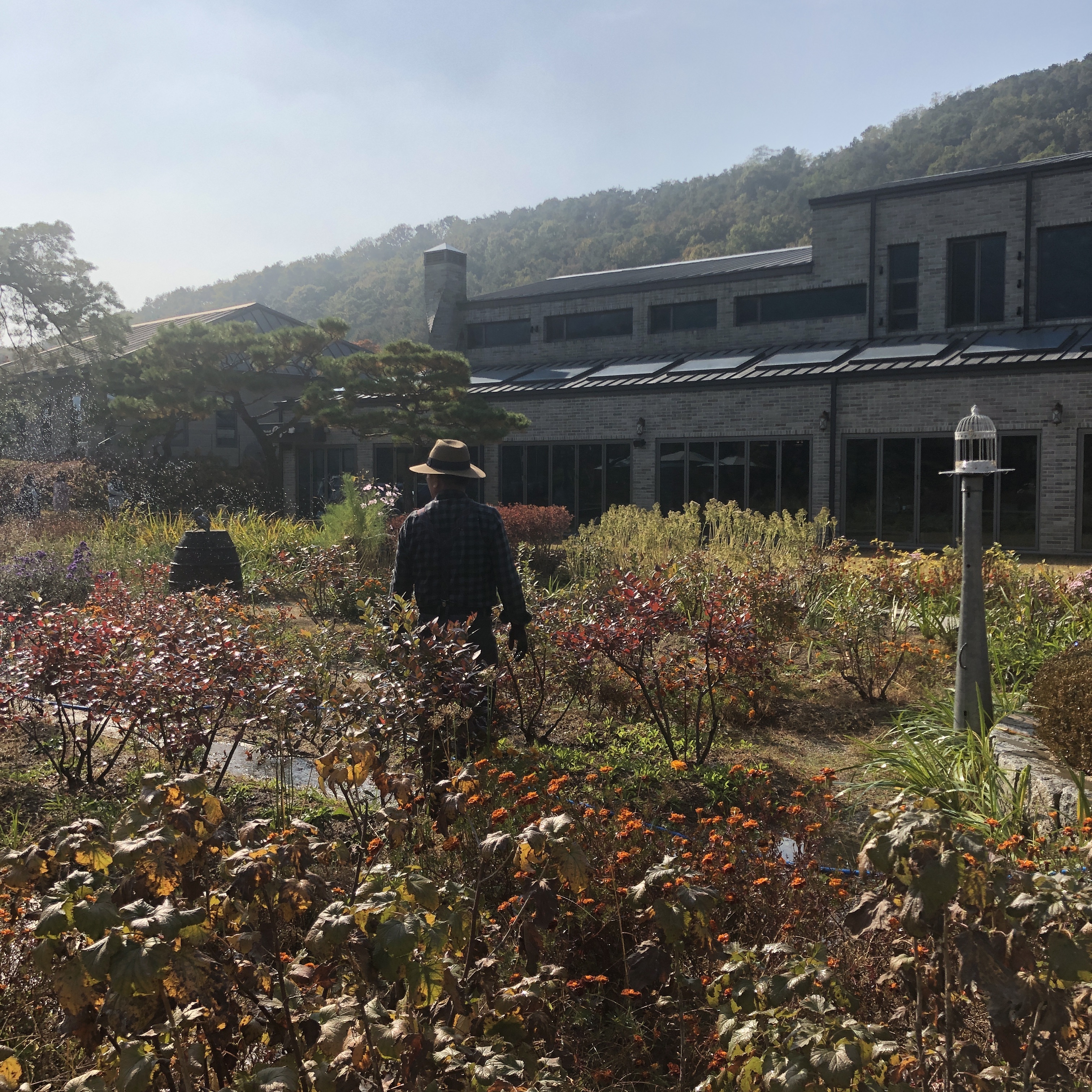 포인트빌