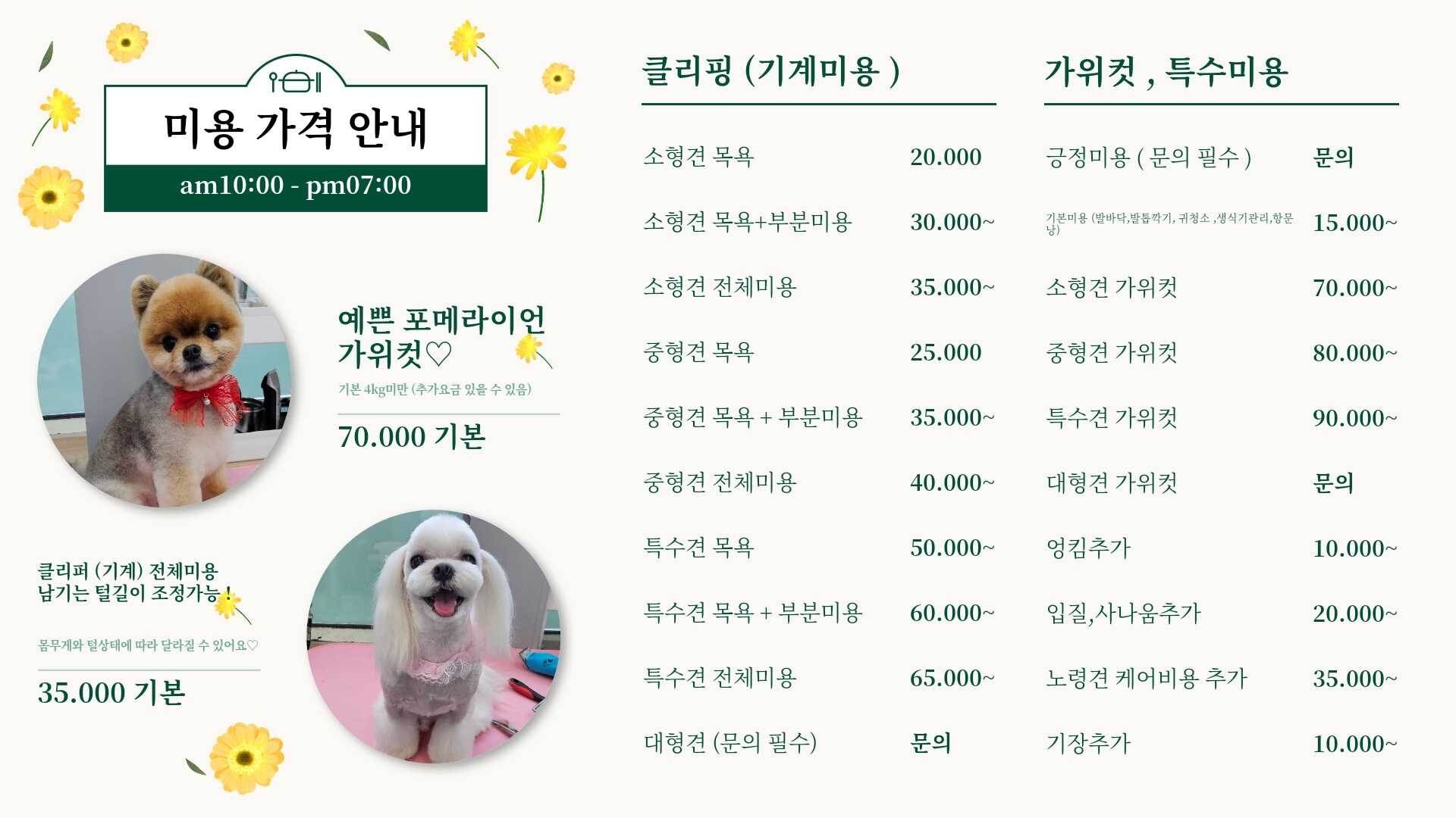하인츠애견미용실
