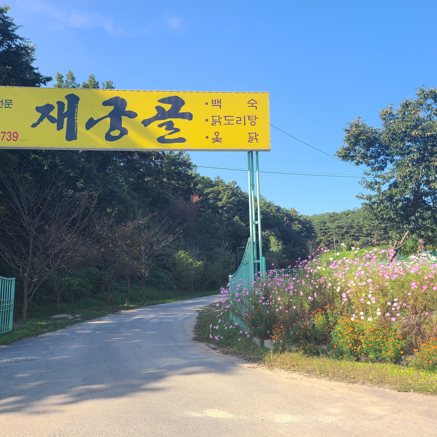 재궁골토종닭