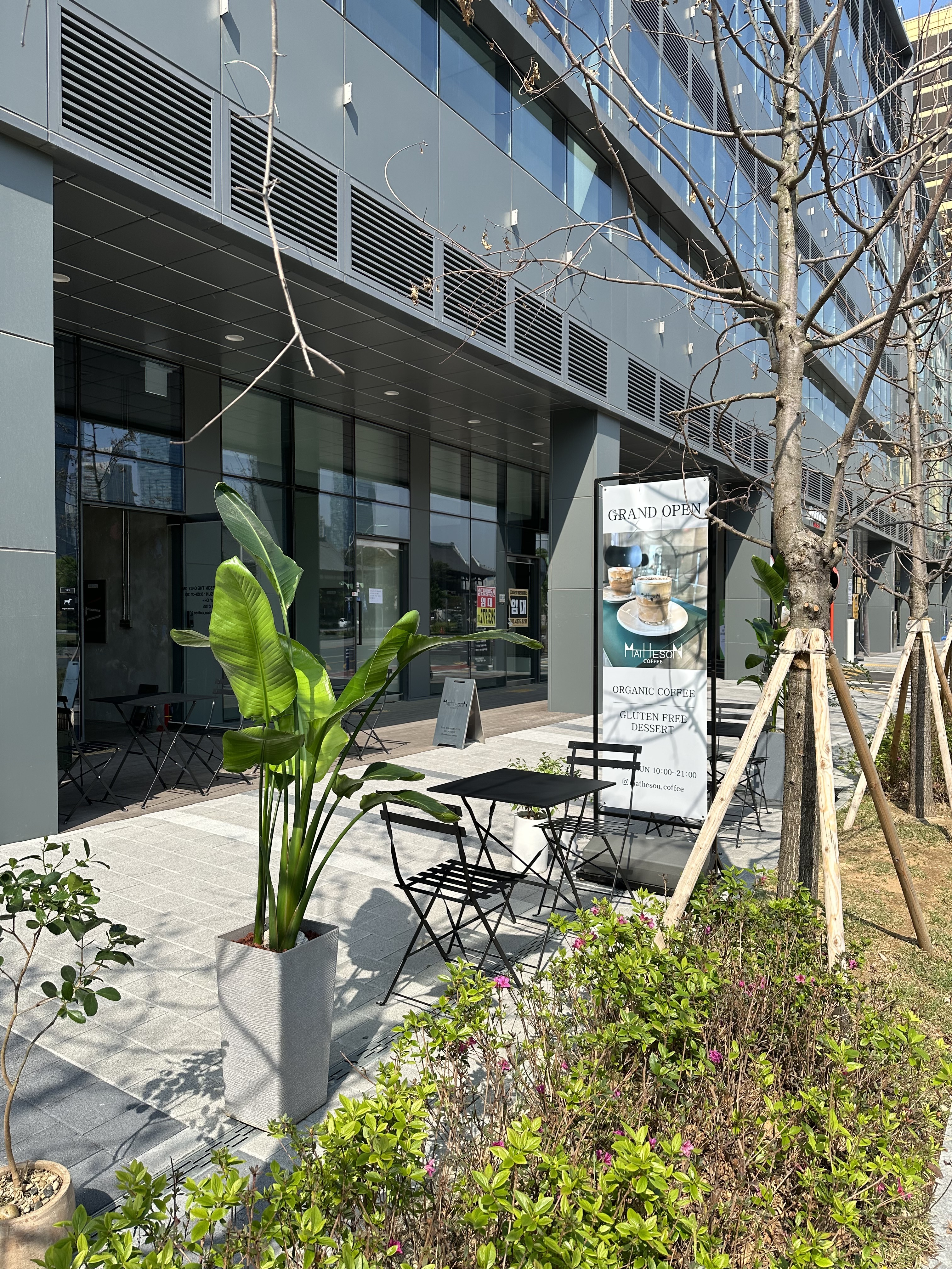 매드슨커피