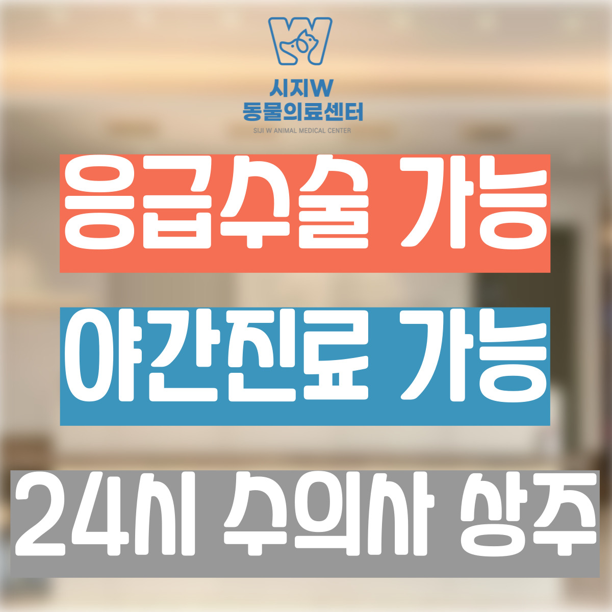 24시 시지W 동물의료센터