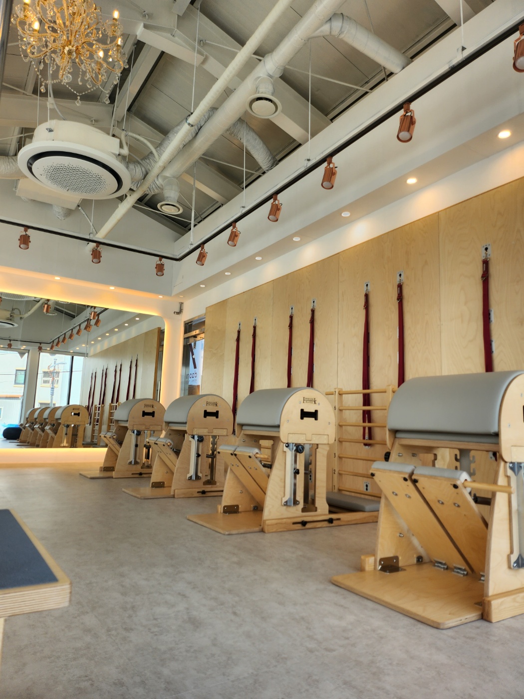 최은정 다옴메디월 요가 필라테스 대표 이미지