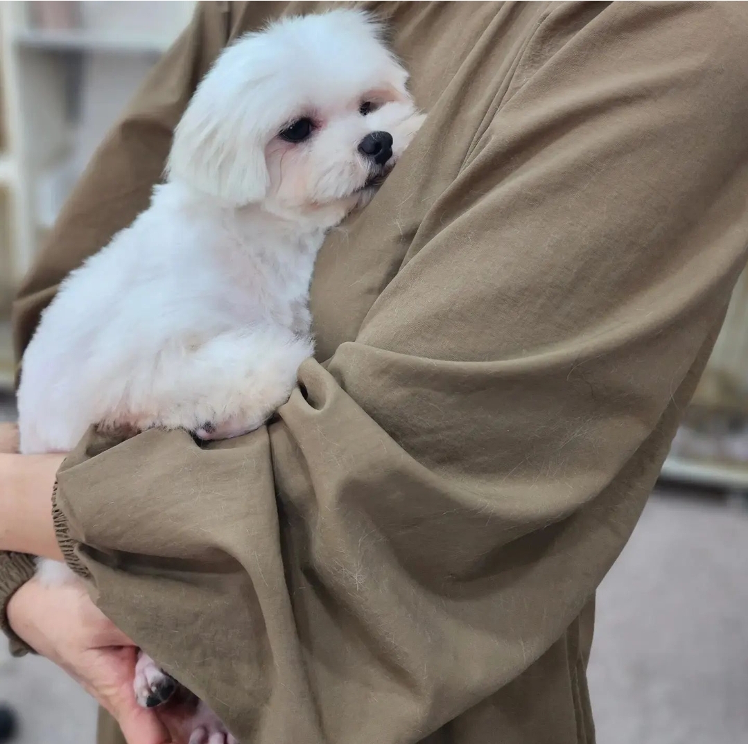 이뻐지는산책