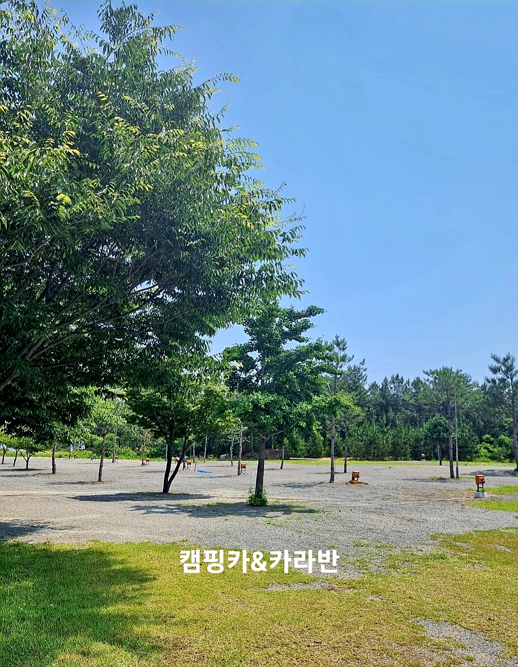 캠핑장 사진