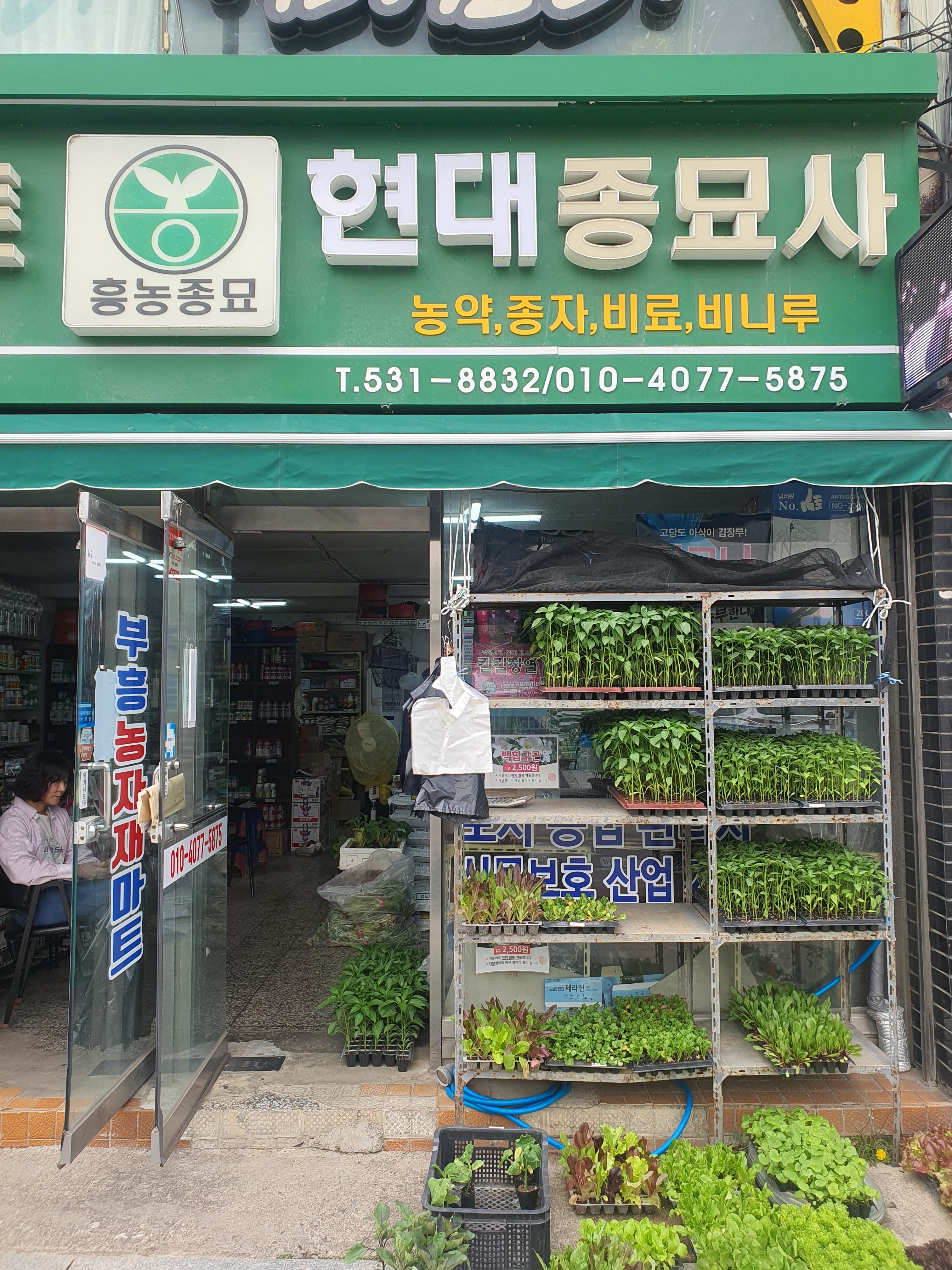 현대종묘사
