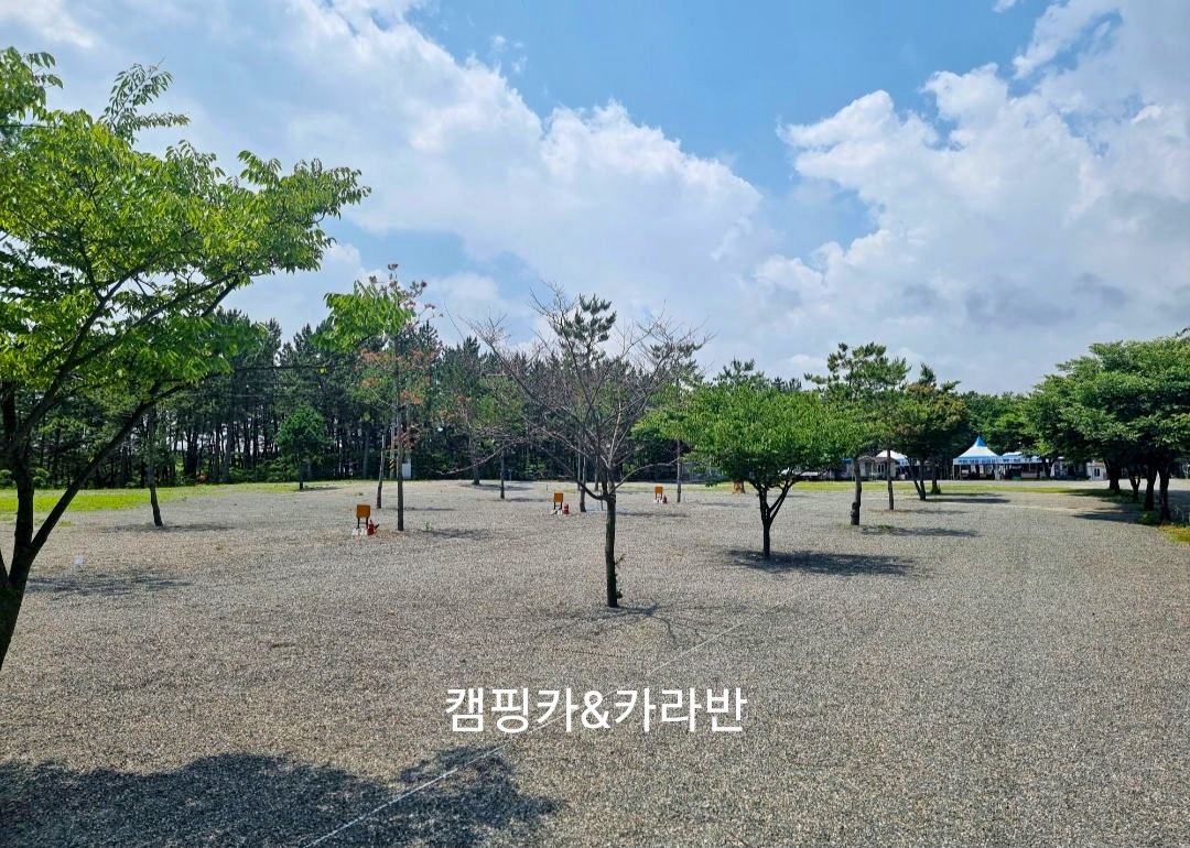 캠핑장 사진