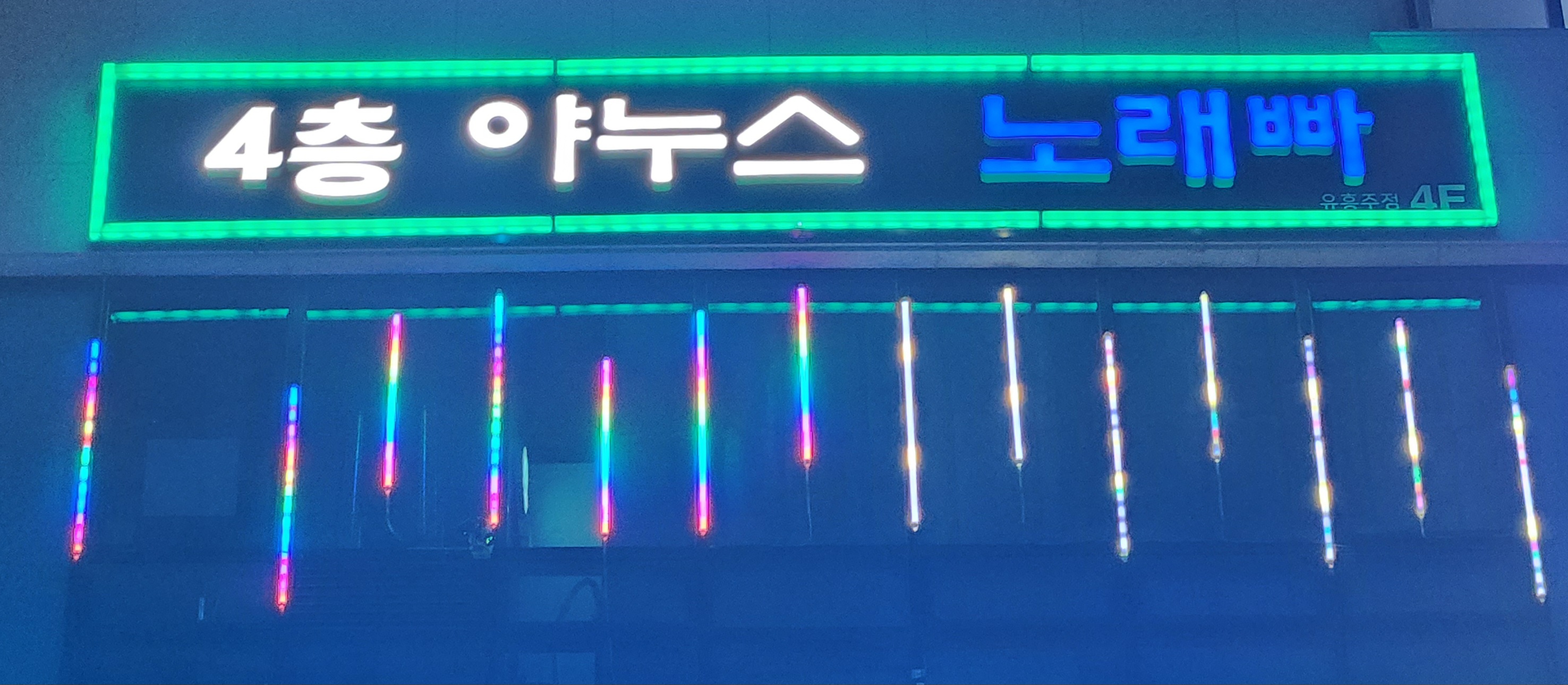 야누스노래빠