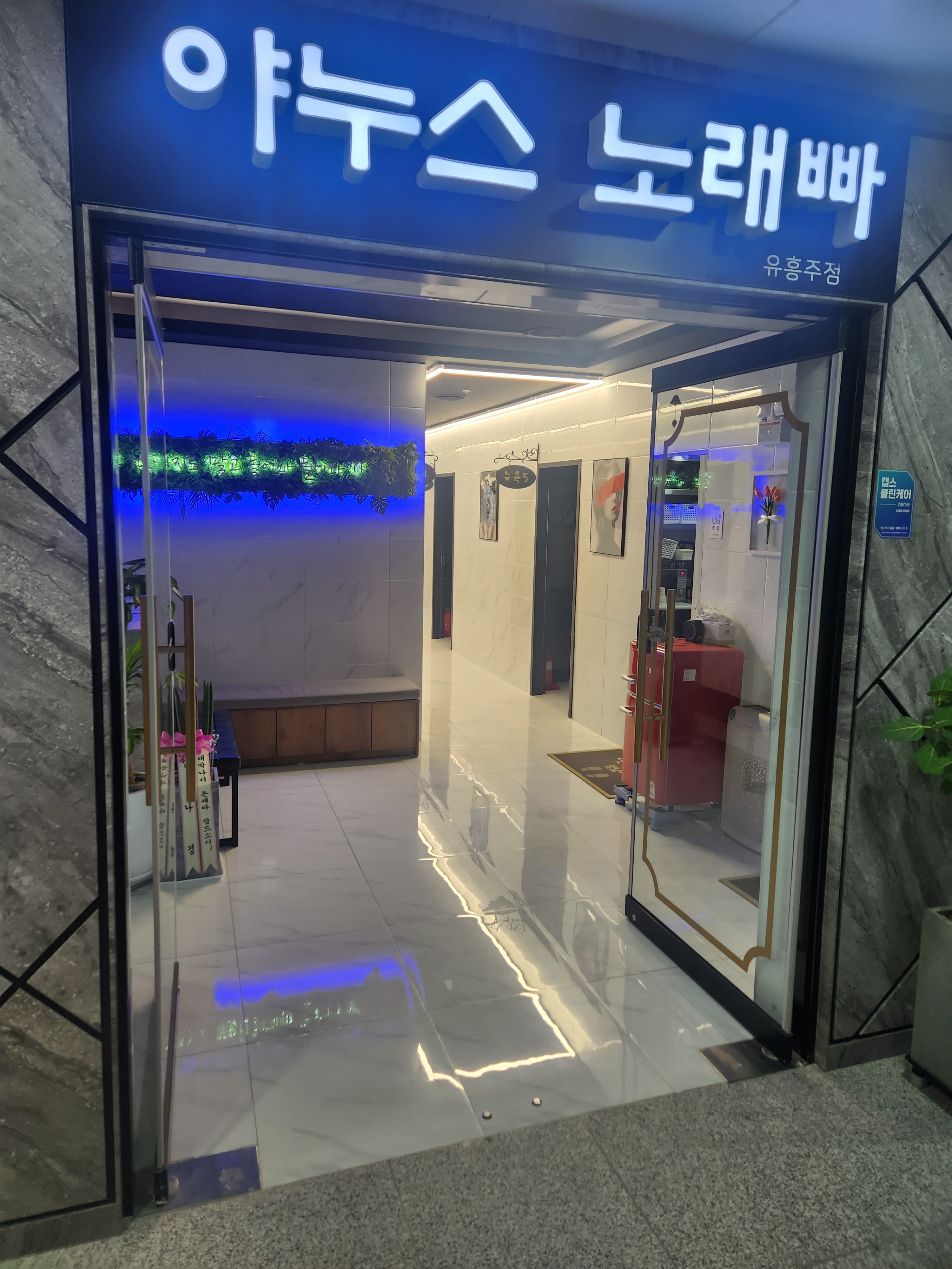 야누스노래빠