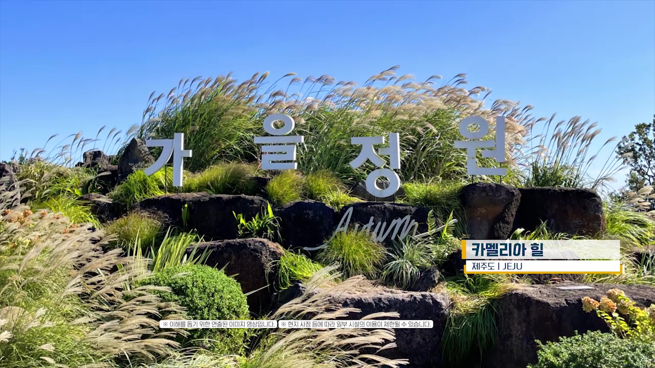 빛나는제주여행사