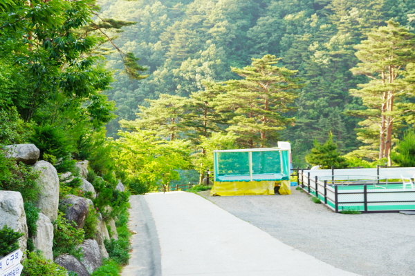 양양오색휴랜드야영장