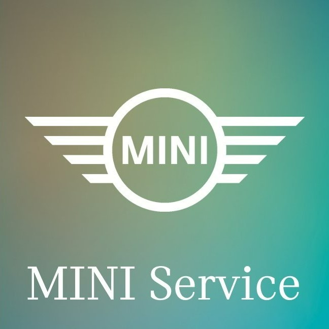 도이치모터스 MINI 대전서비스센터