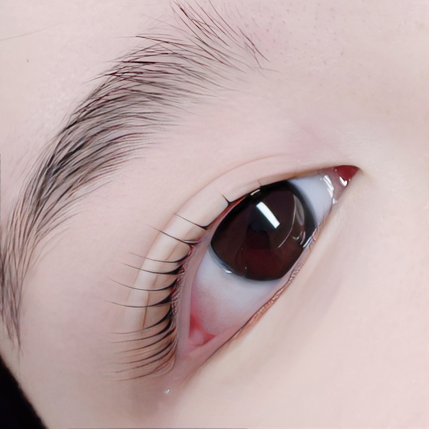 설레다뷰티