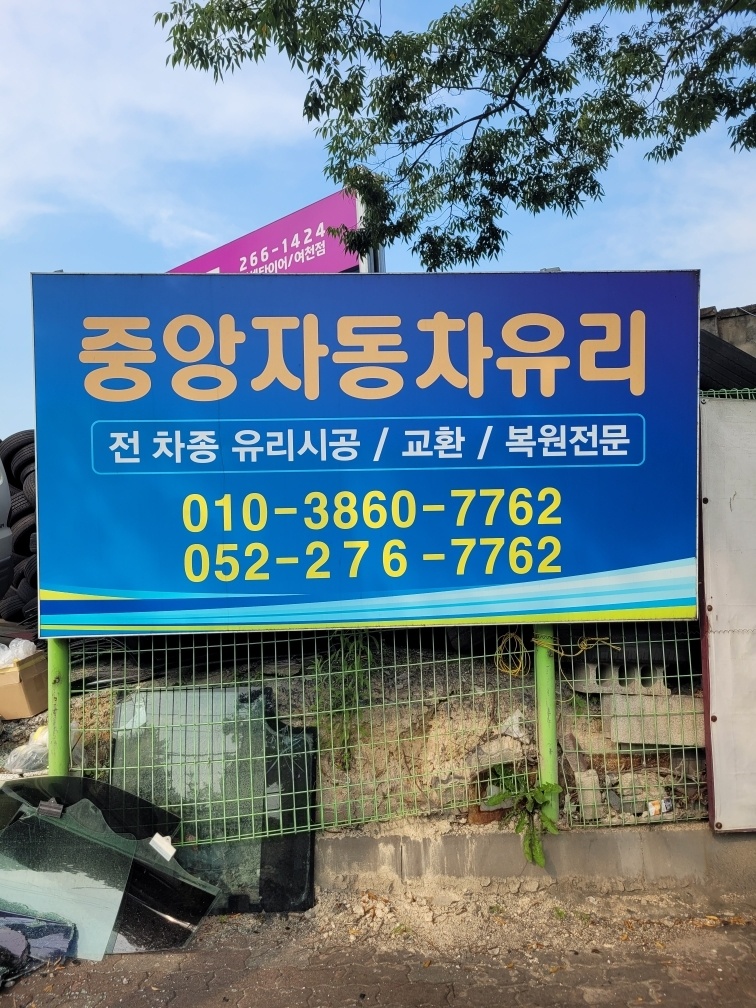 중앙 차유리