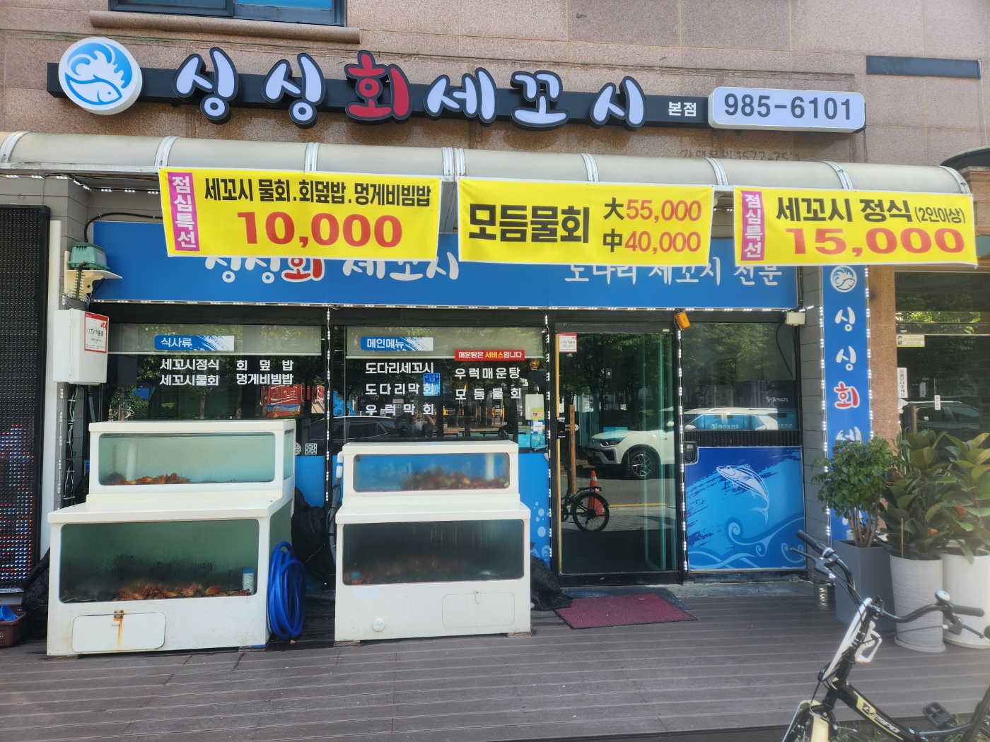 싱싱회세꼬시