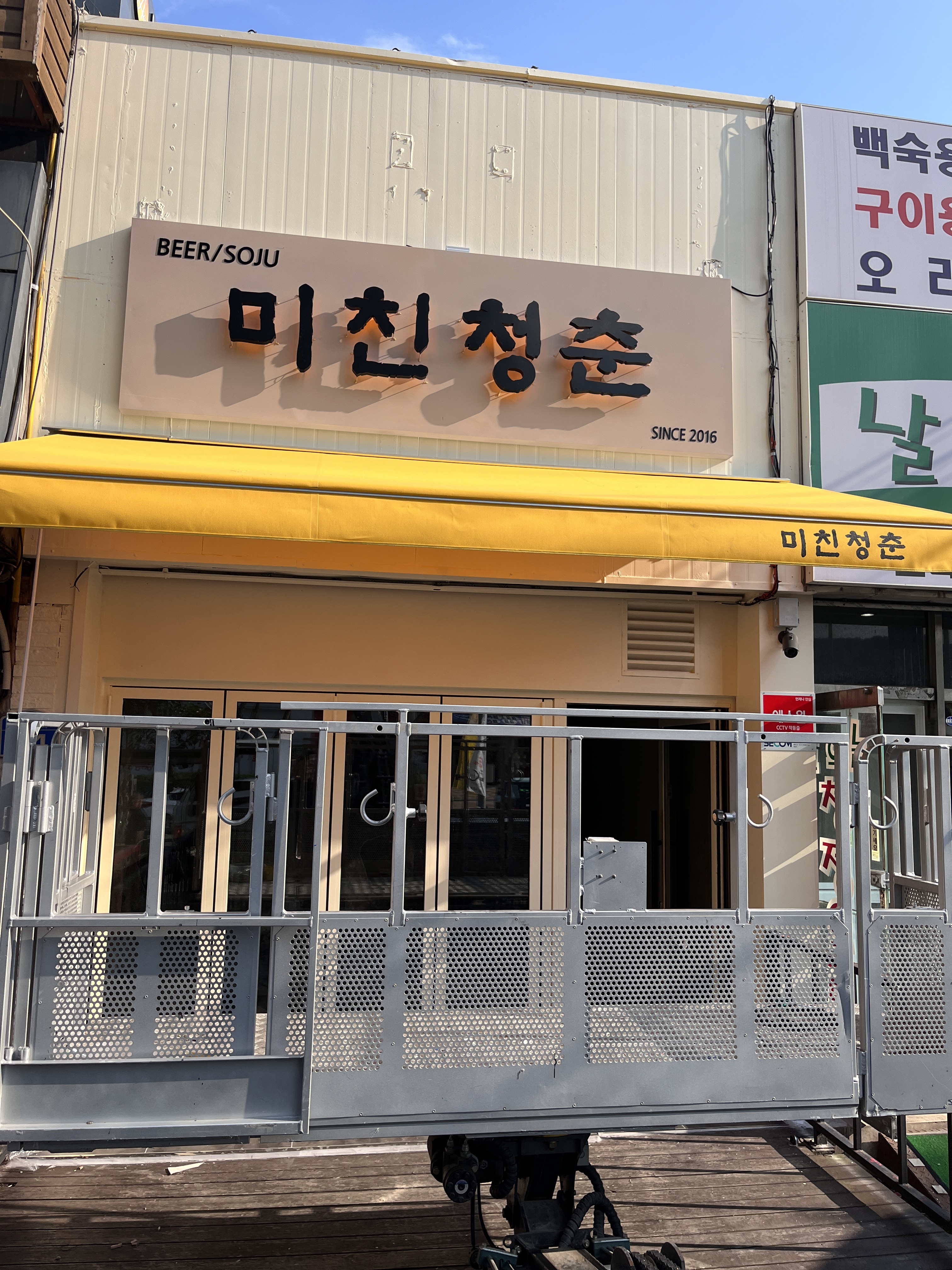 미친청춘