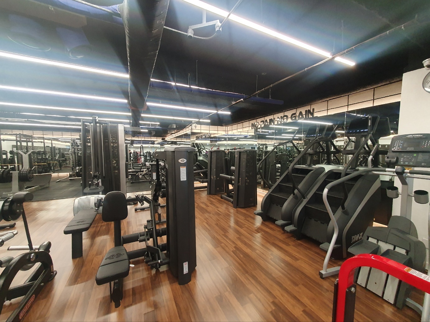 김성환짐 대표 이미지