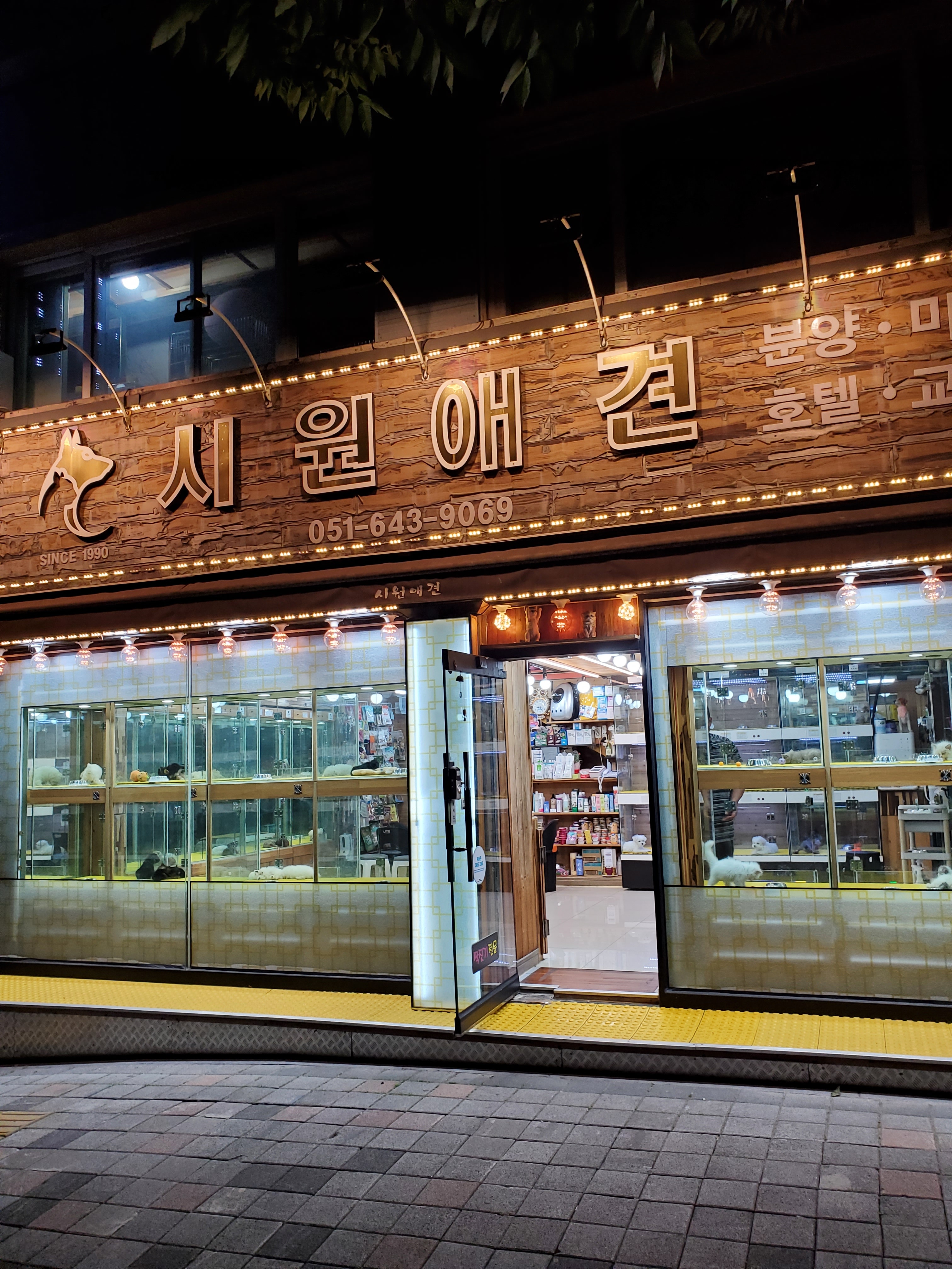 시원애견