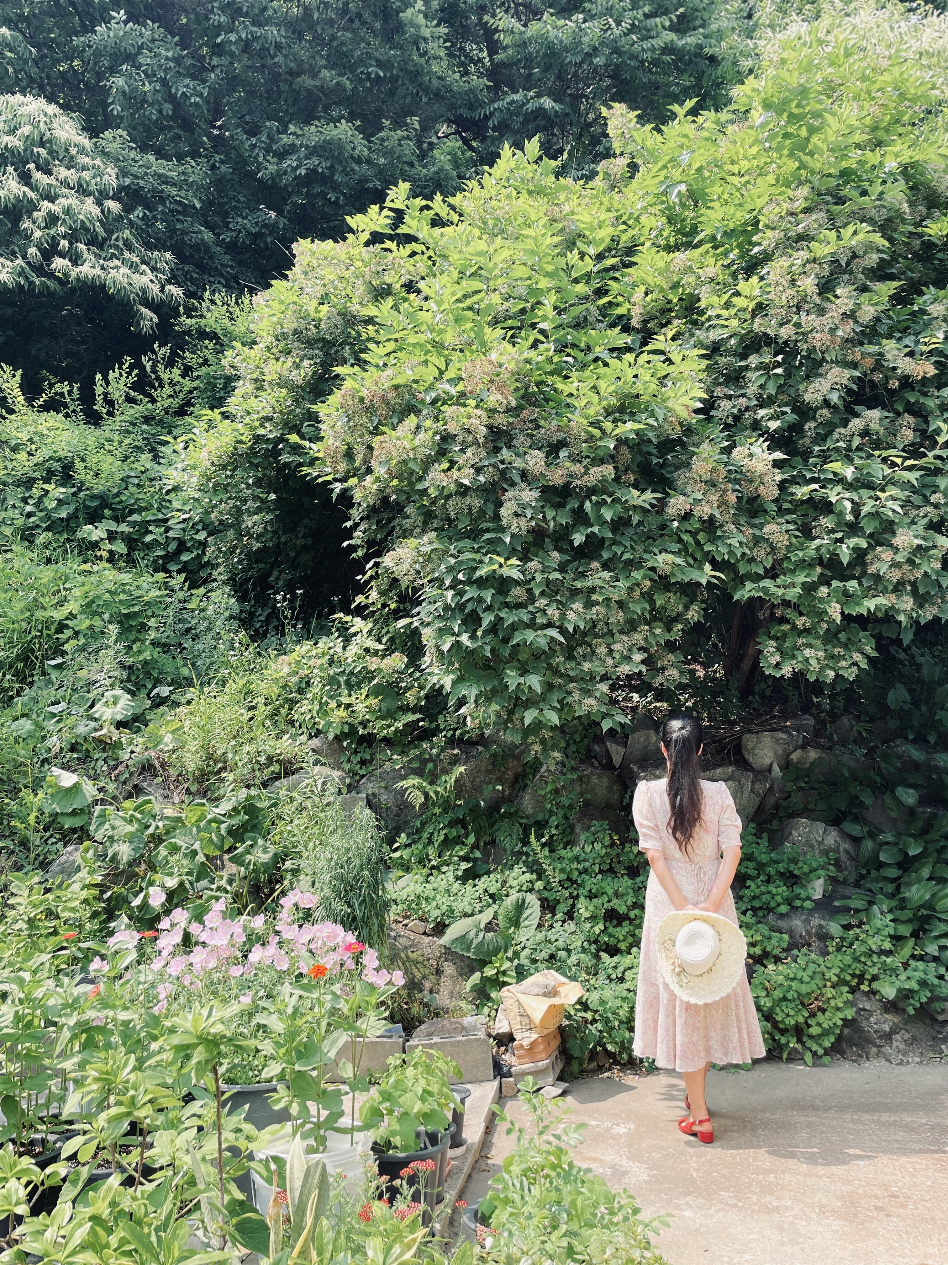 스테이 온정