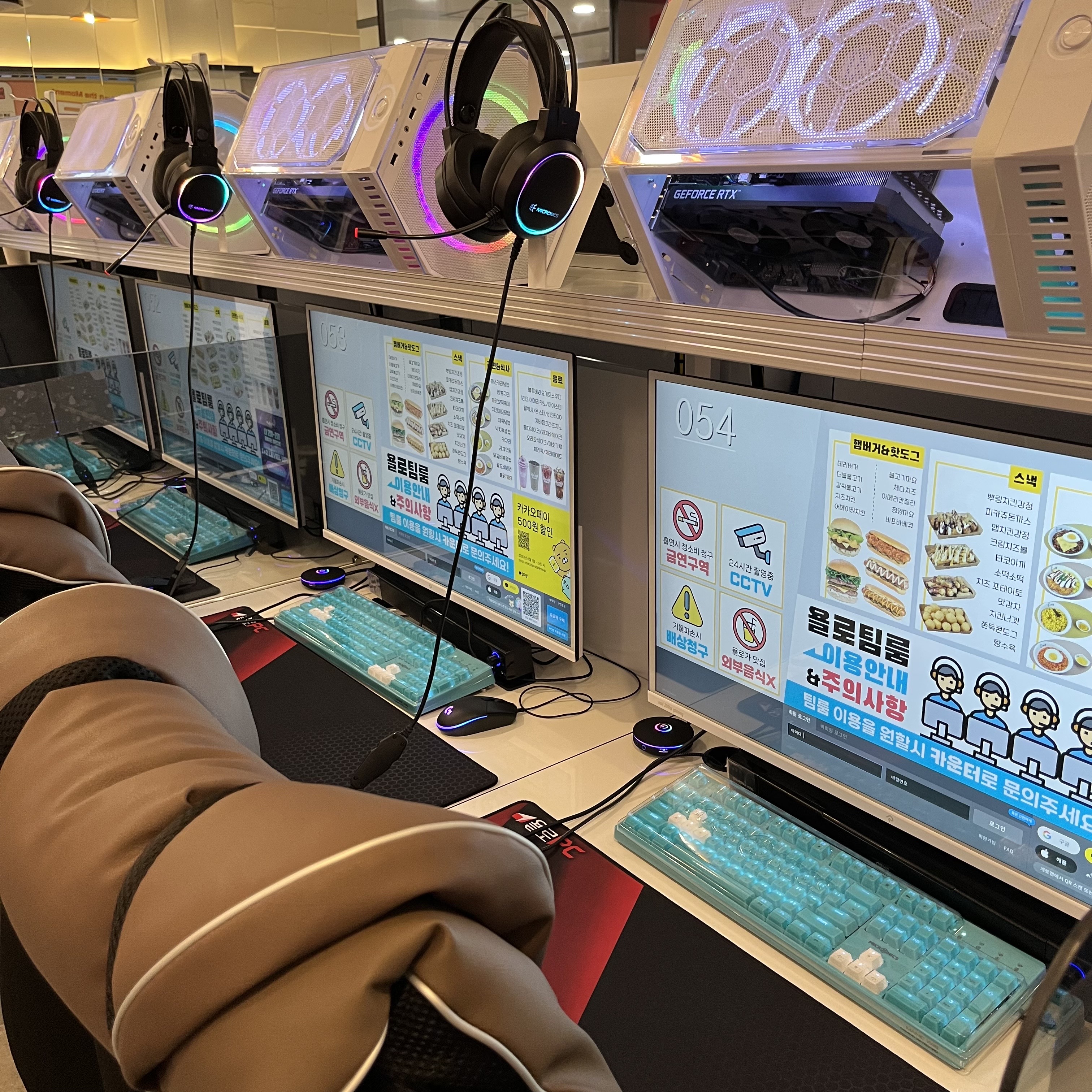댕댕빌리지 경상 애견맛집
